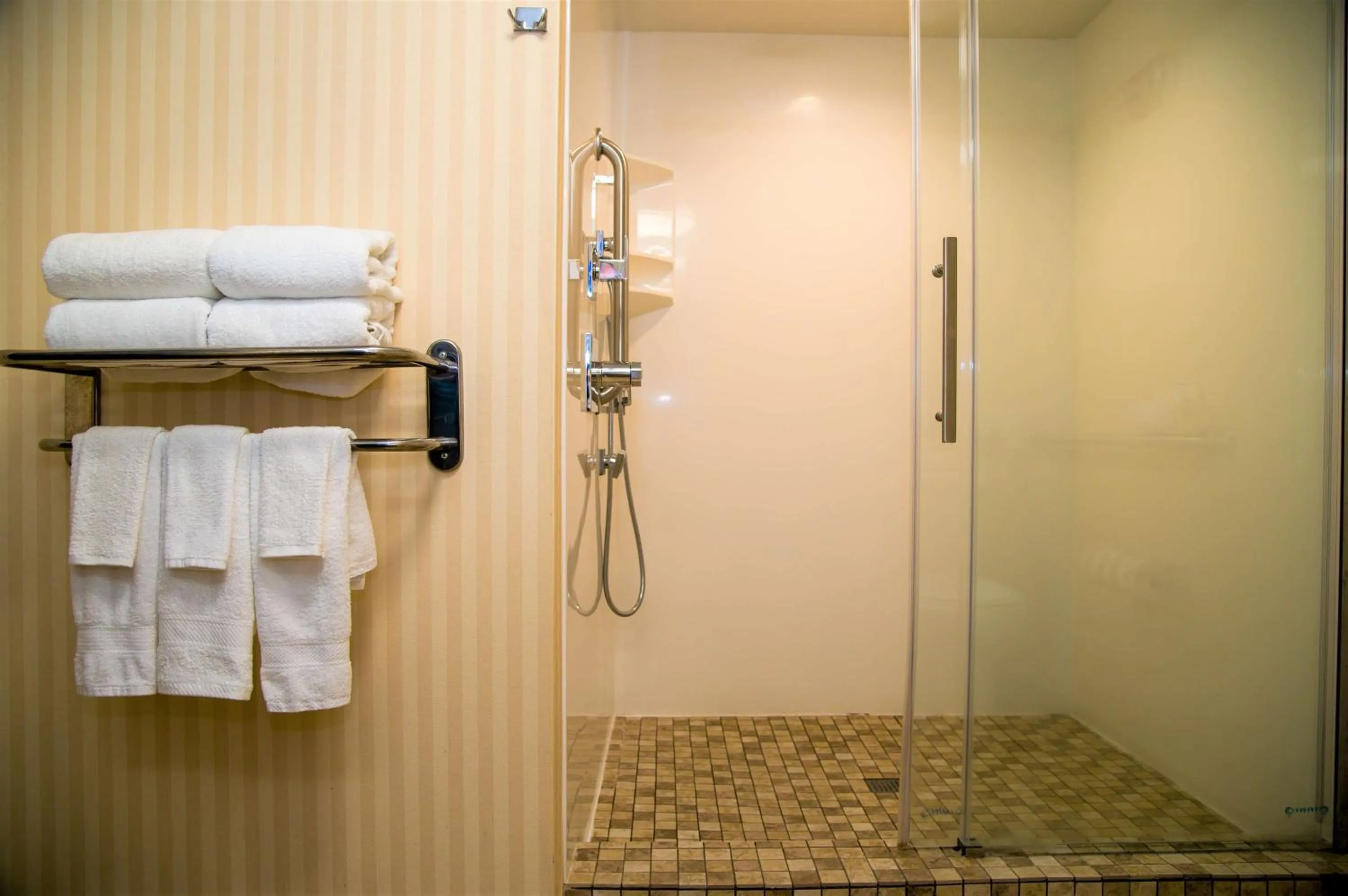 Bathroom in Hampton Inn Lewisburg