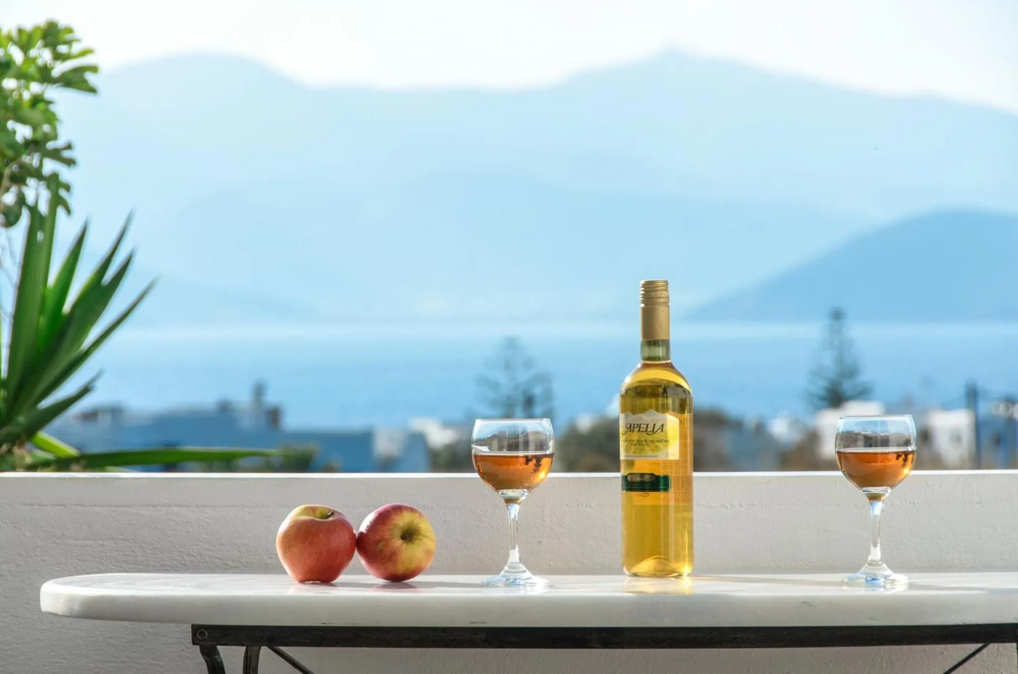 Day in Studios Sofia Dream