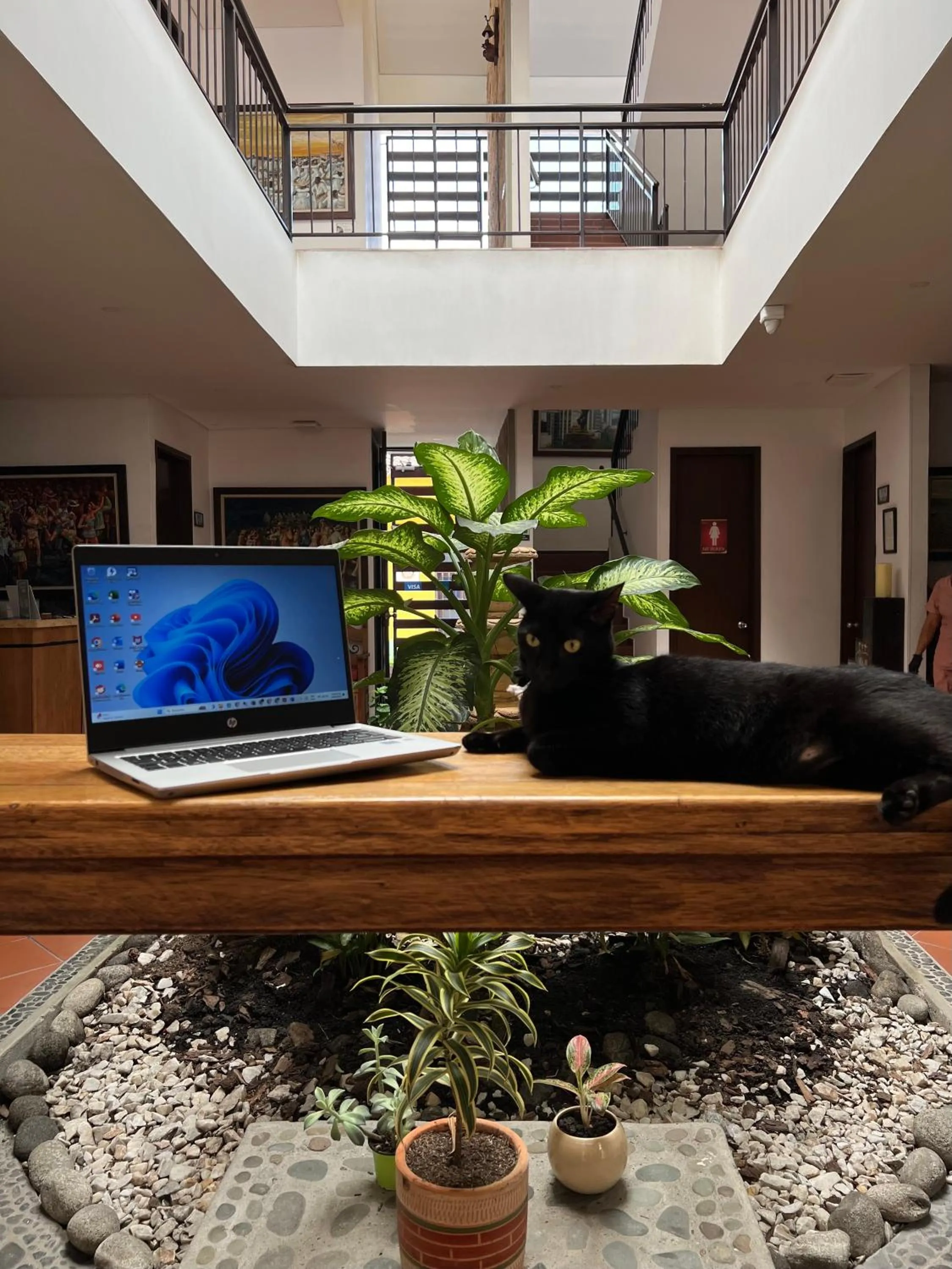 Communal lounge/ TV room in Hotel Boutique San Antonio