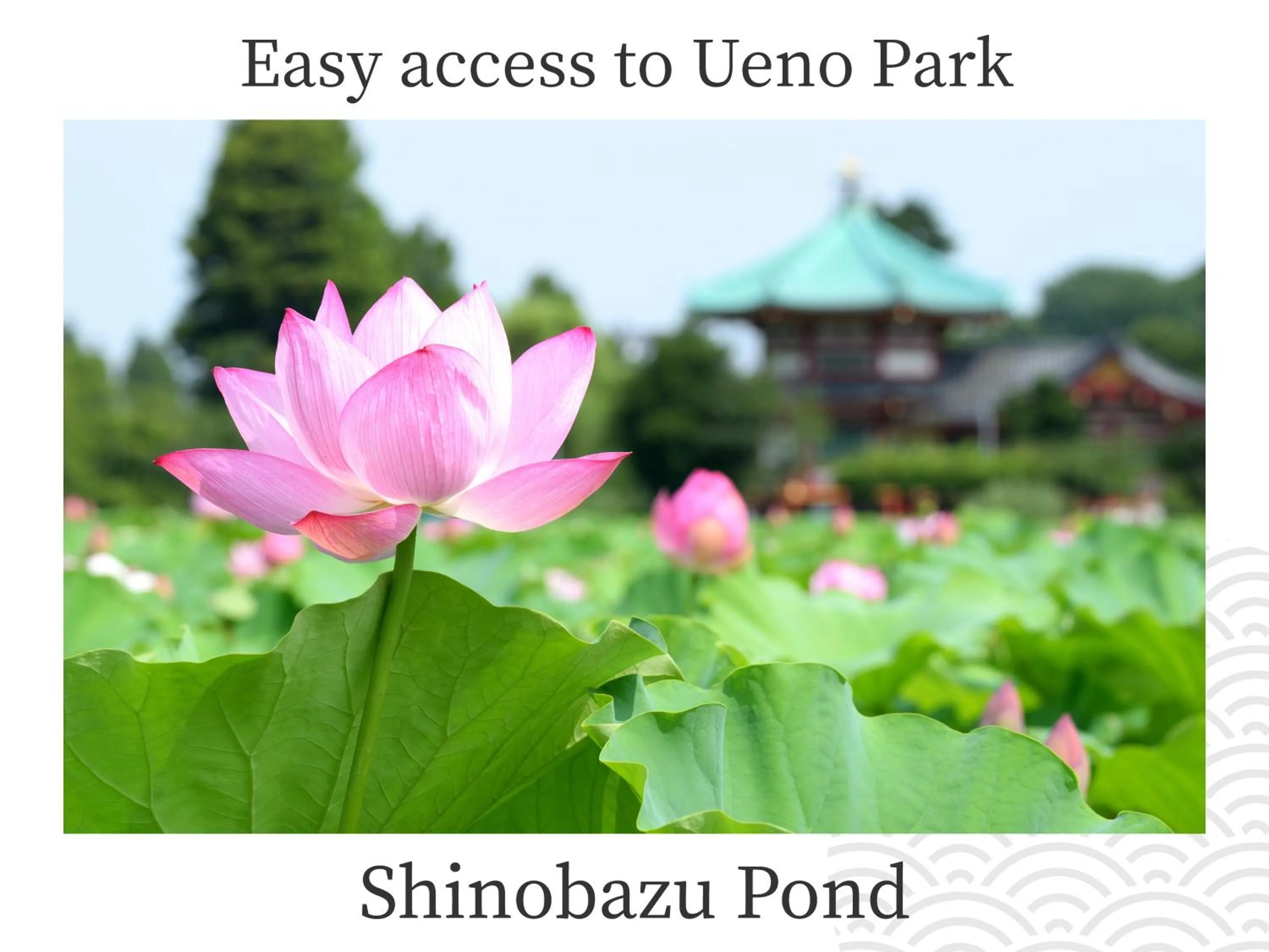 Nearby landmark in MIMARU Tokyo Ueno North