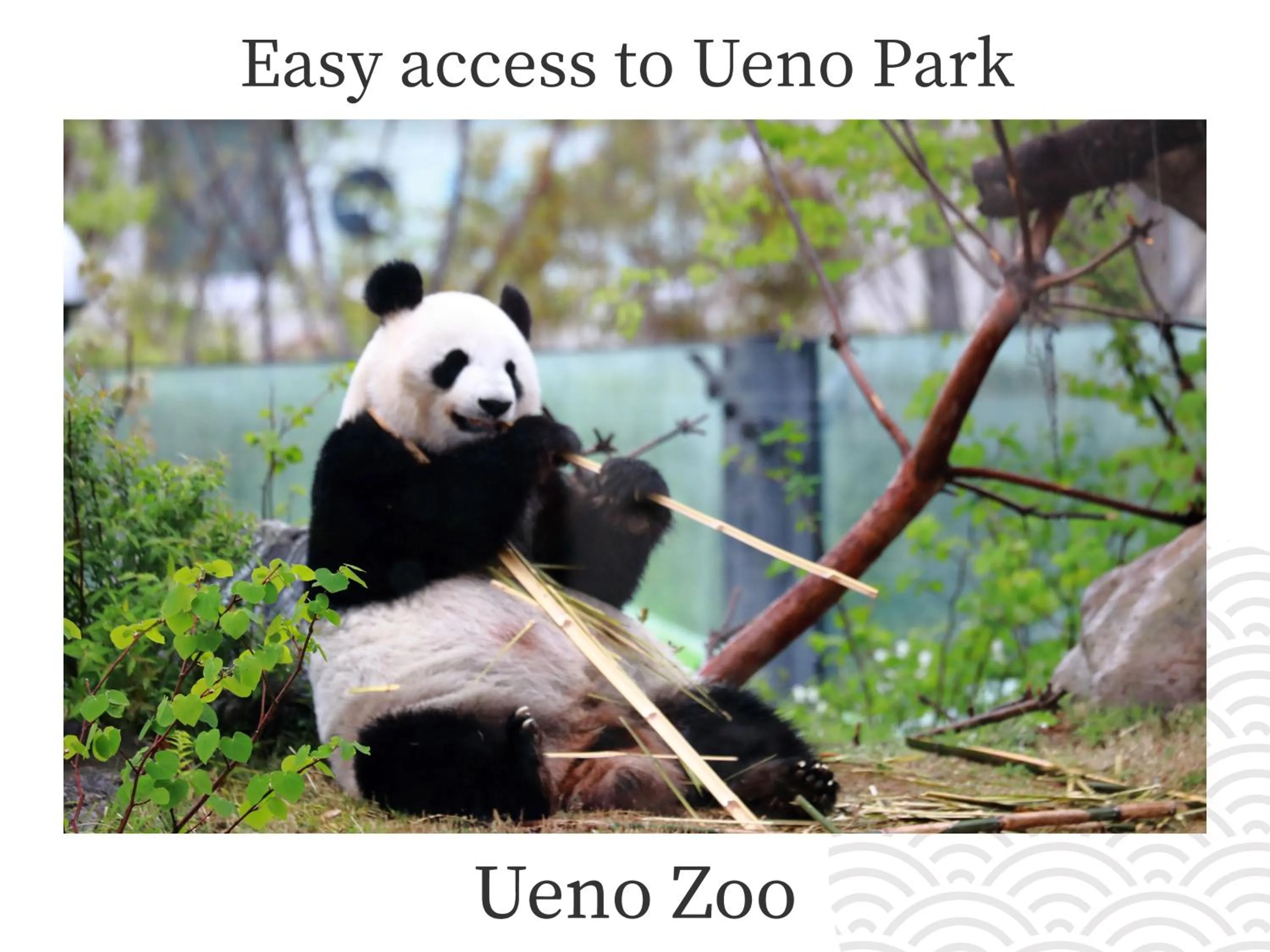 Nearby landmark in MIMARU Tokyo Ueno North