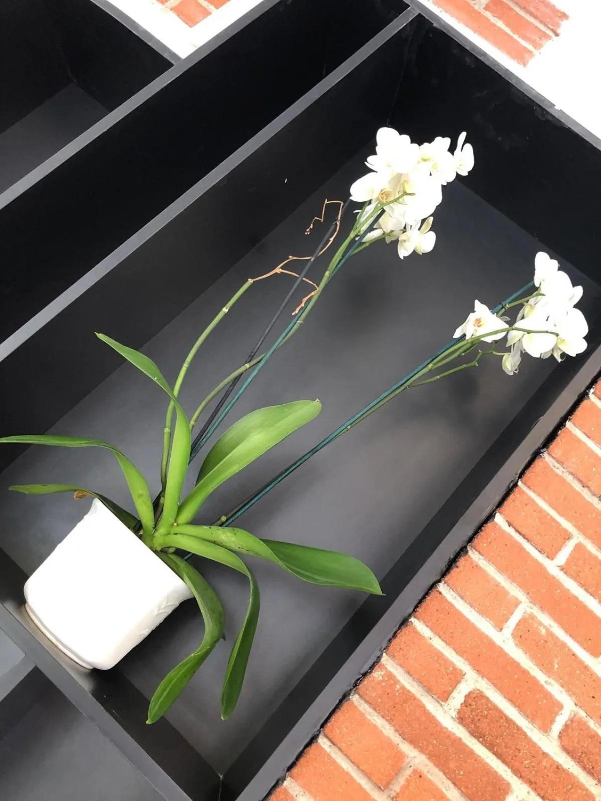 Decorative detail in Hotel Victor Hugo