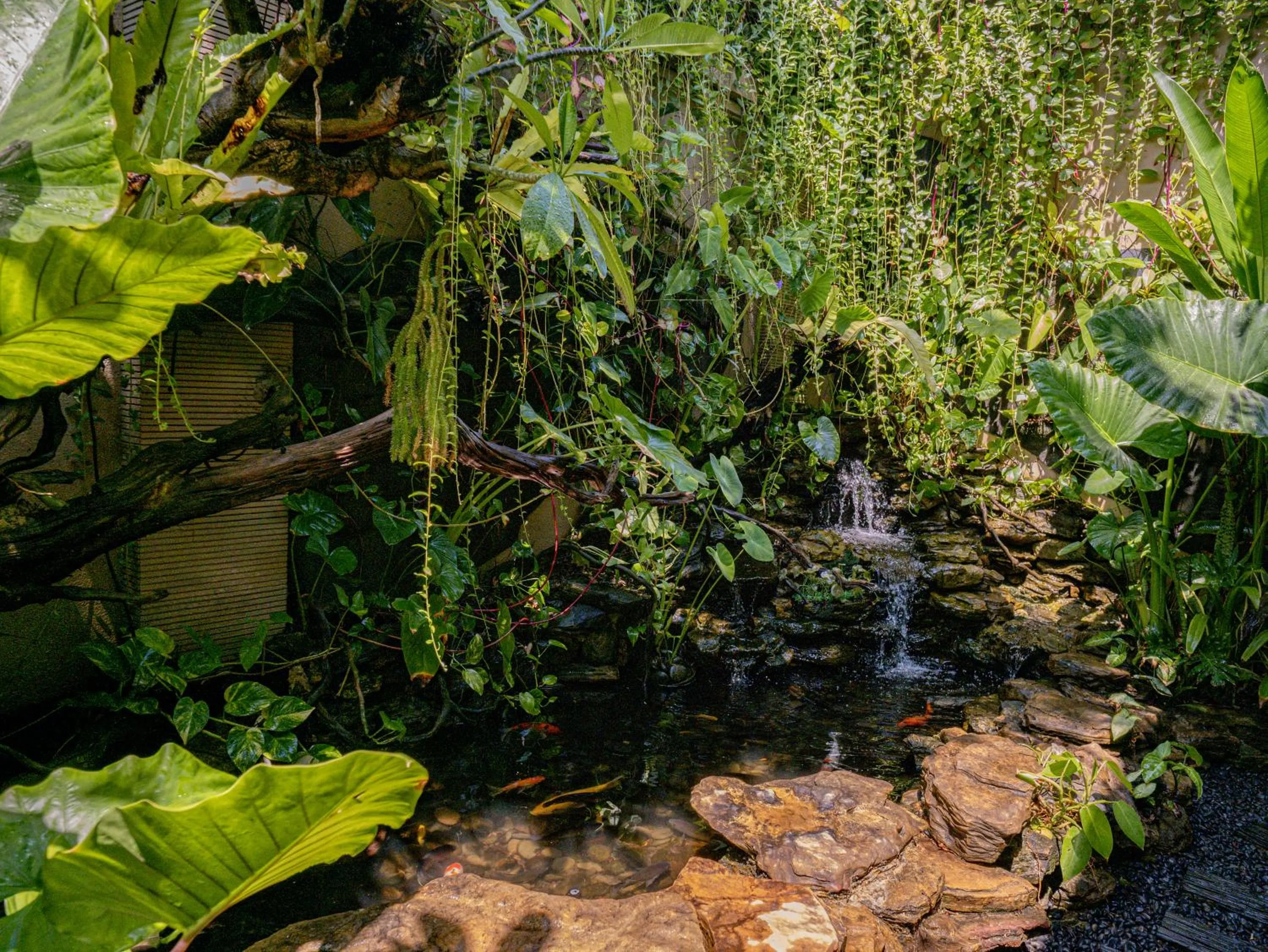 Natural landscape in Lasanti Villas Seminyak