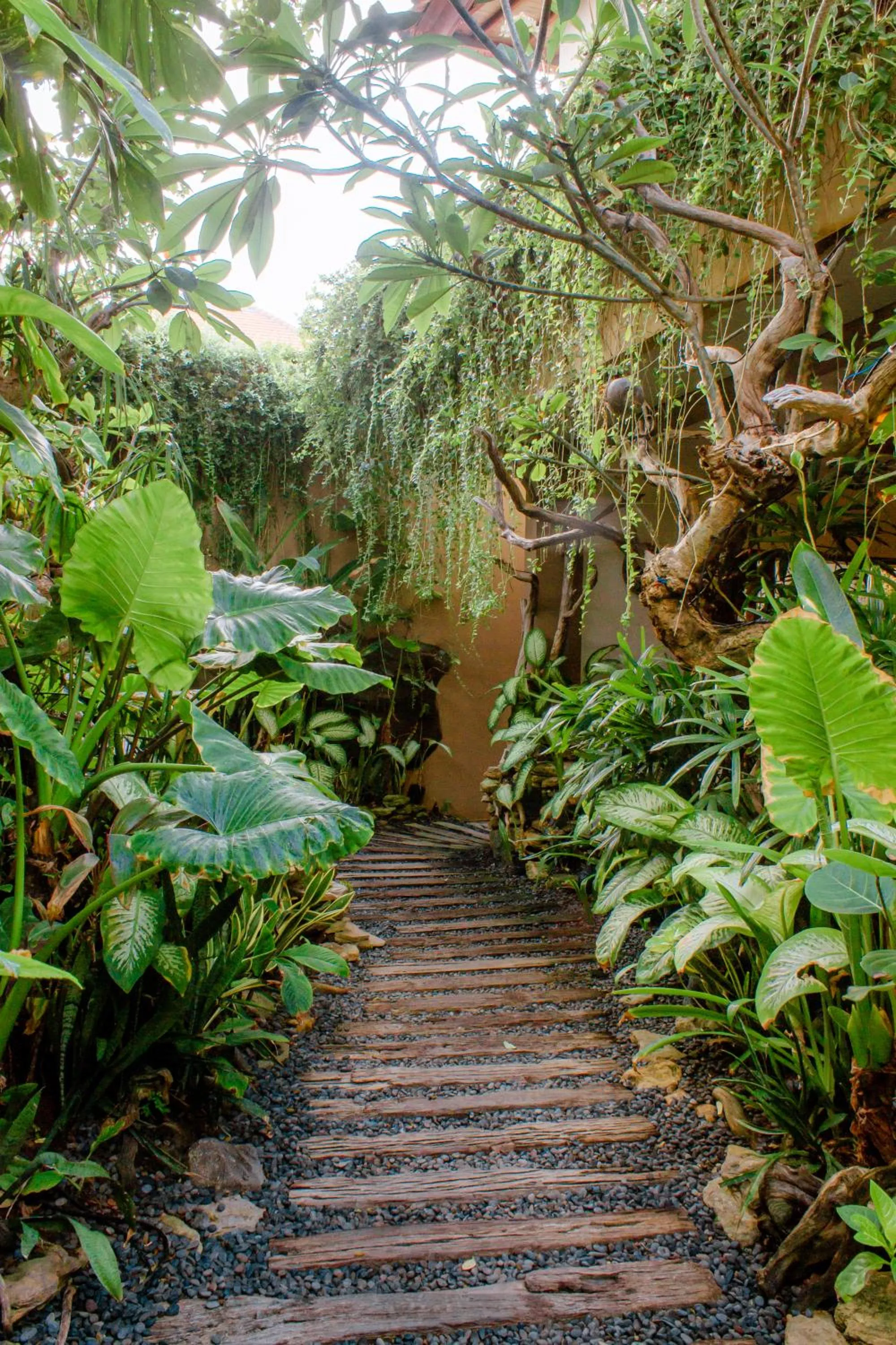 Patio in Lasanti Villas Seminyak