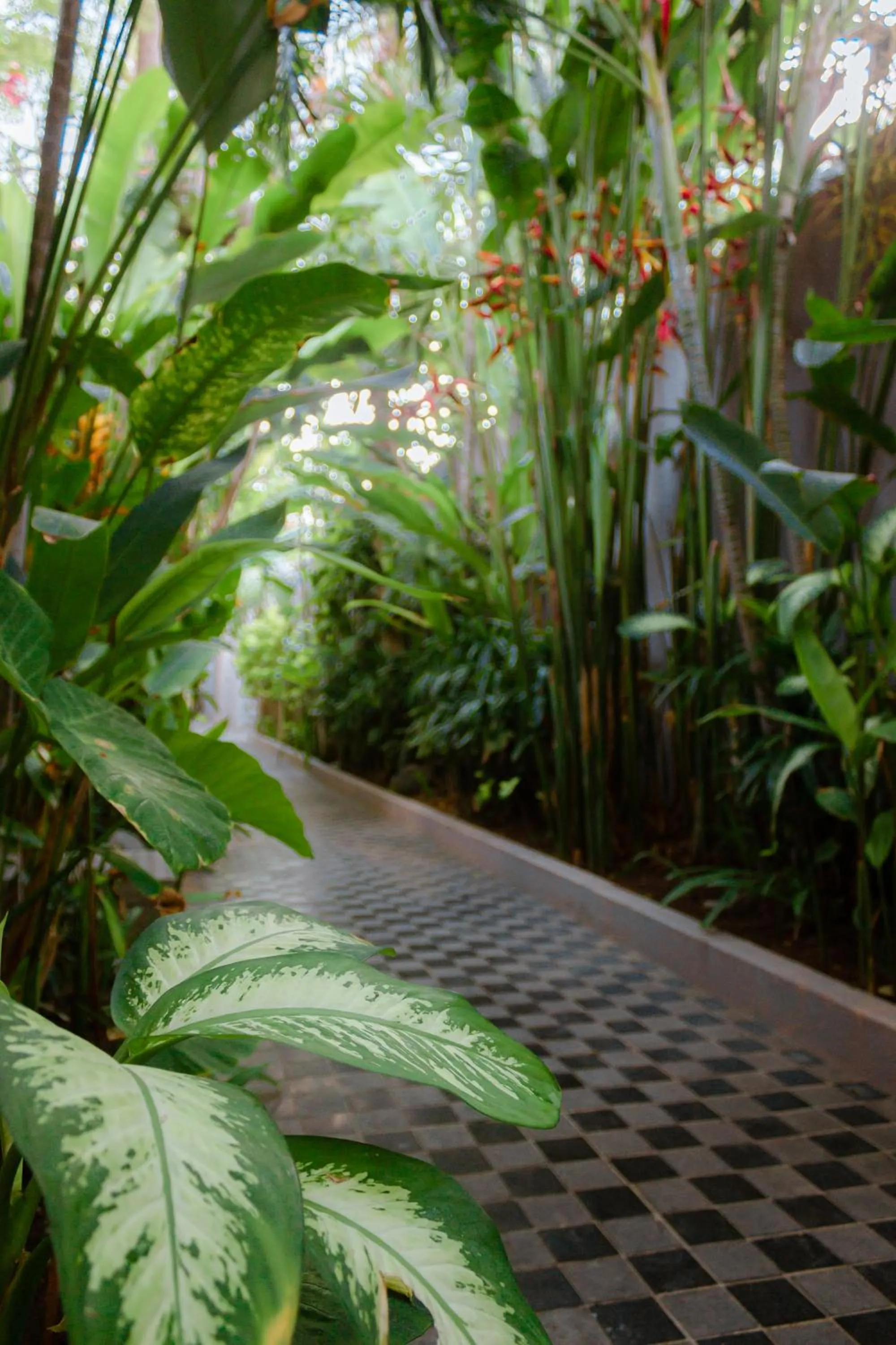 Natural landscape in Lasanti Villas Seminyak