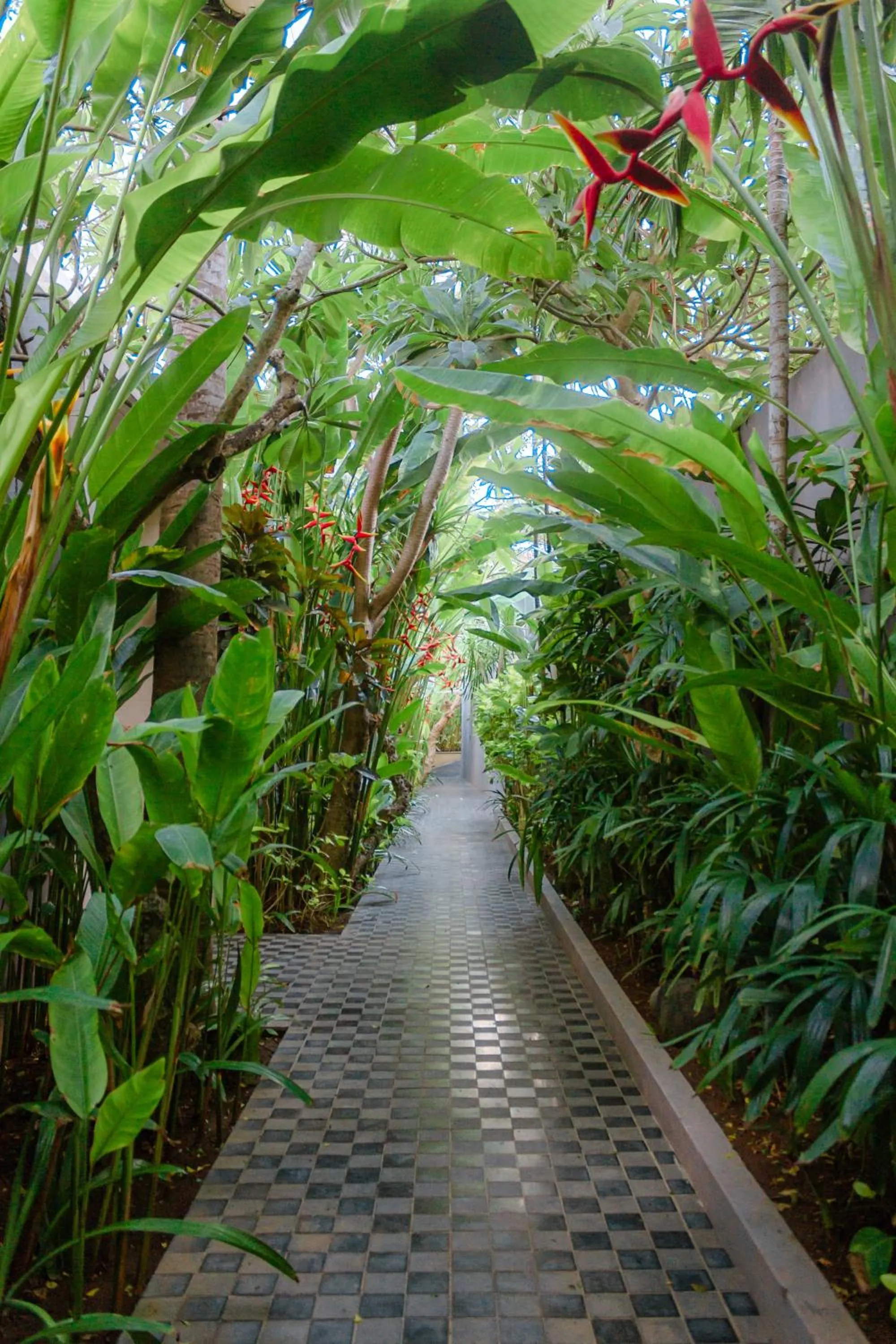 Patio in Lasanti Villas Seminyak