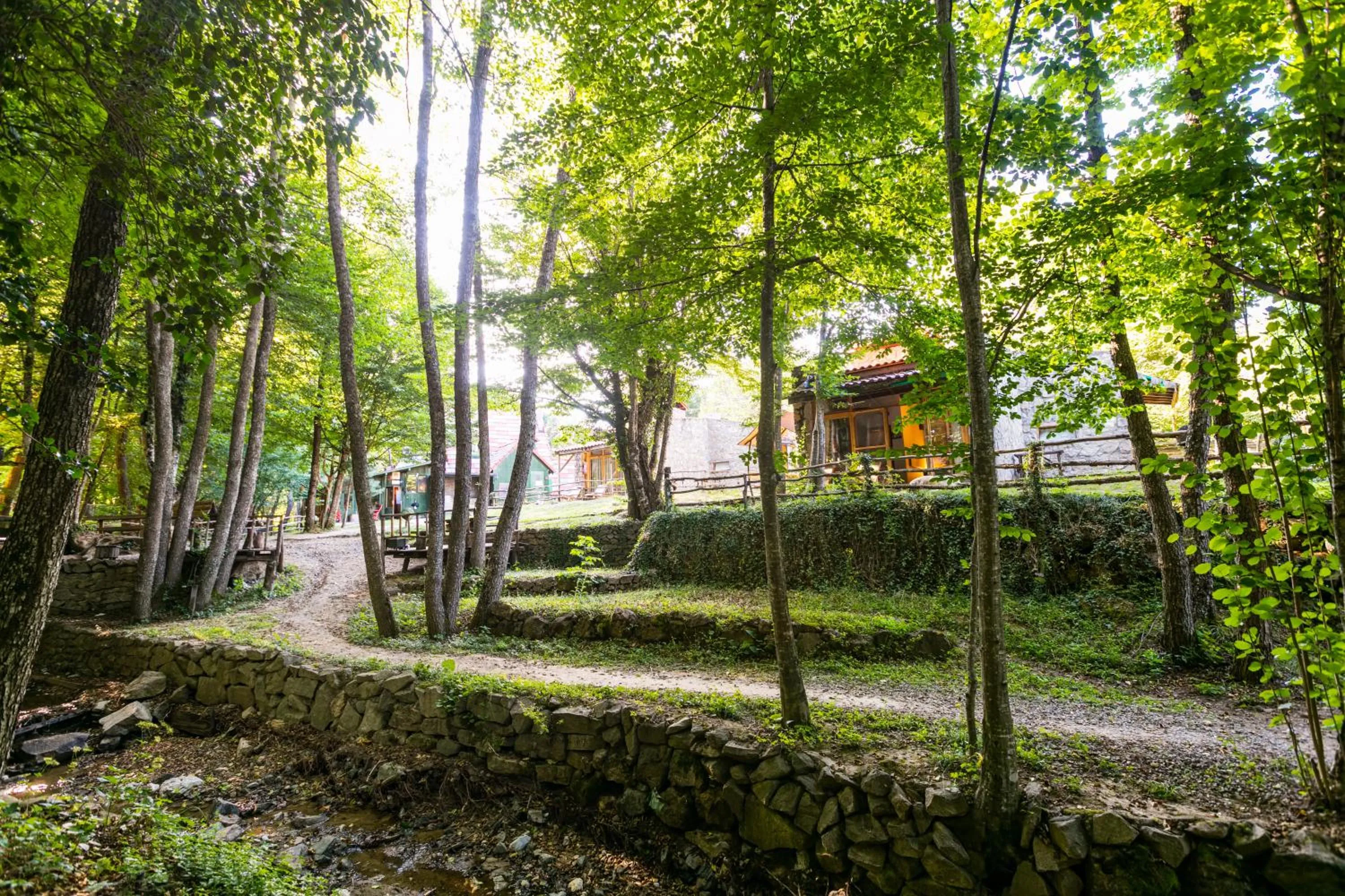 Natural landscape in Hindiba Doga Evi