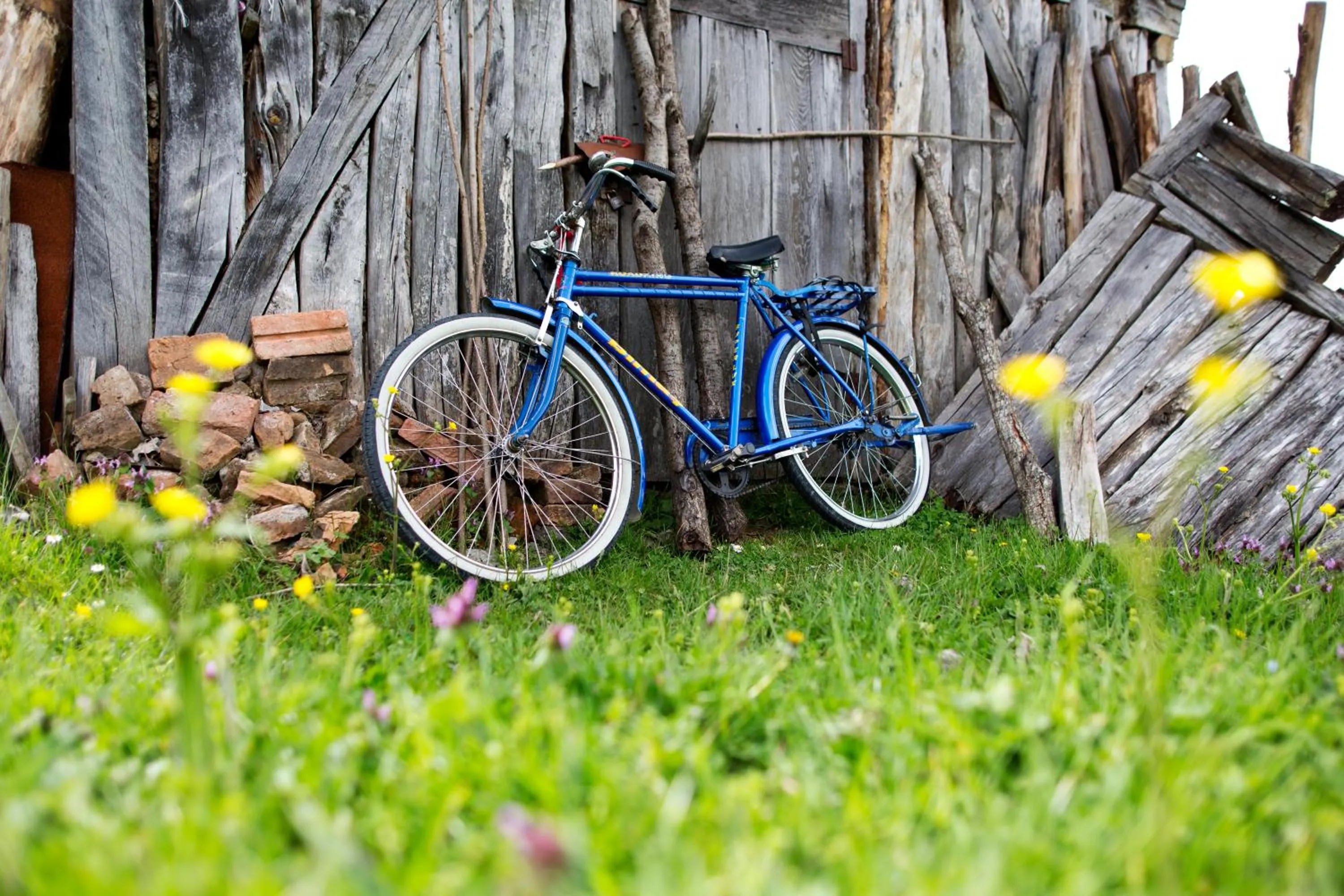 Cycling in Hindiba Doga Evi