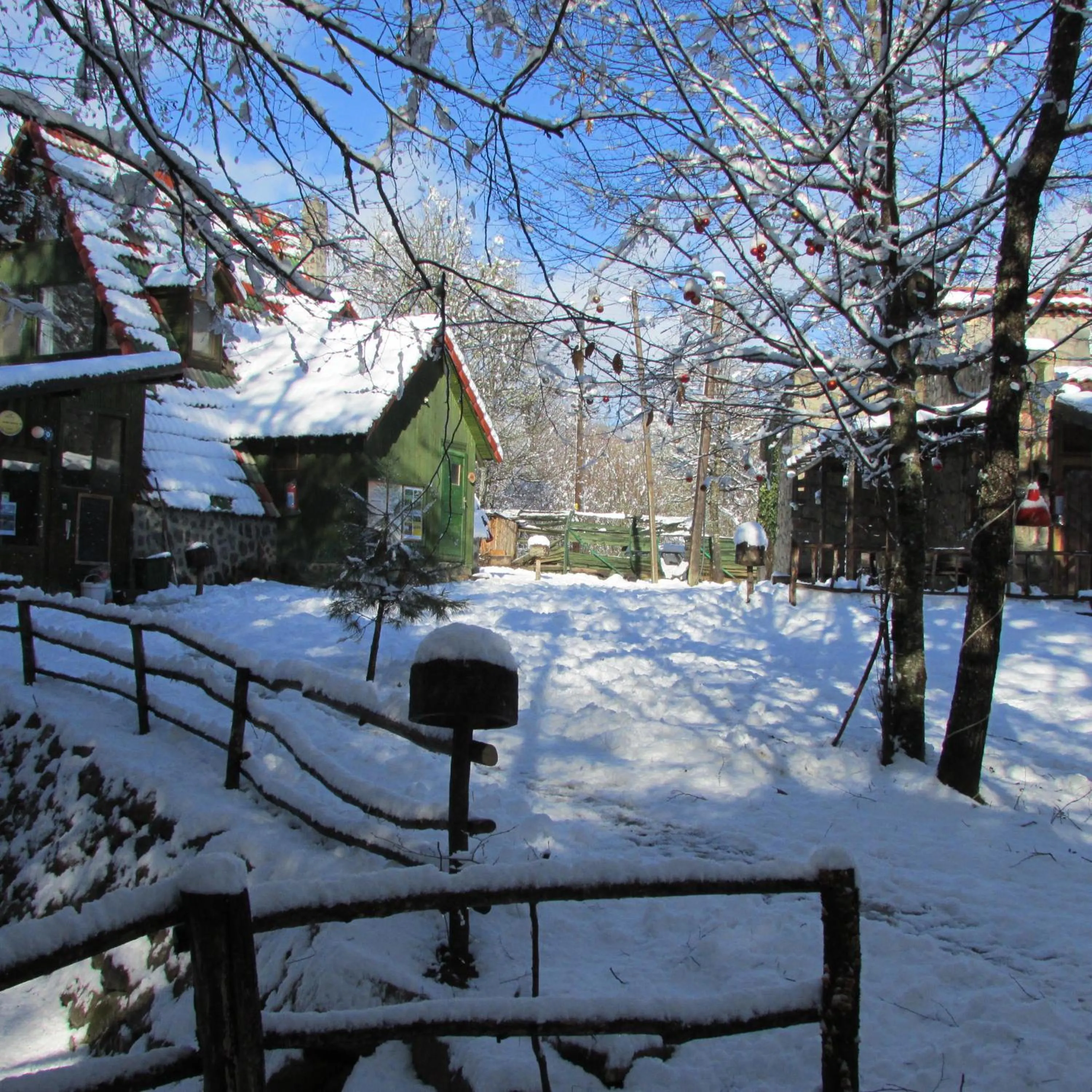 Property building in Hindiba Doga Evi