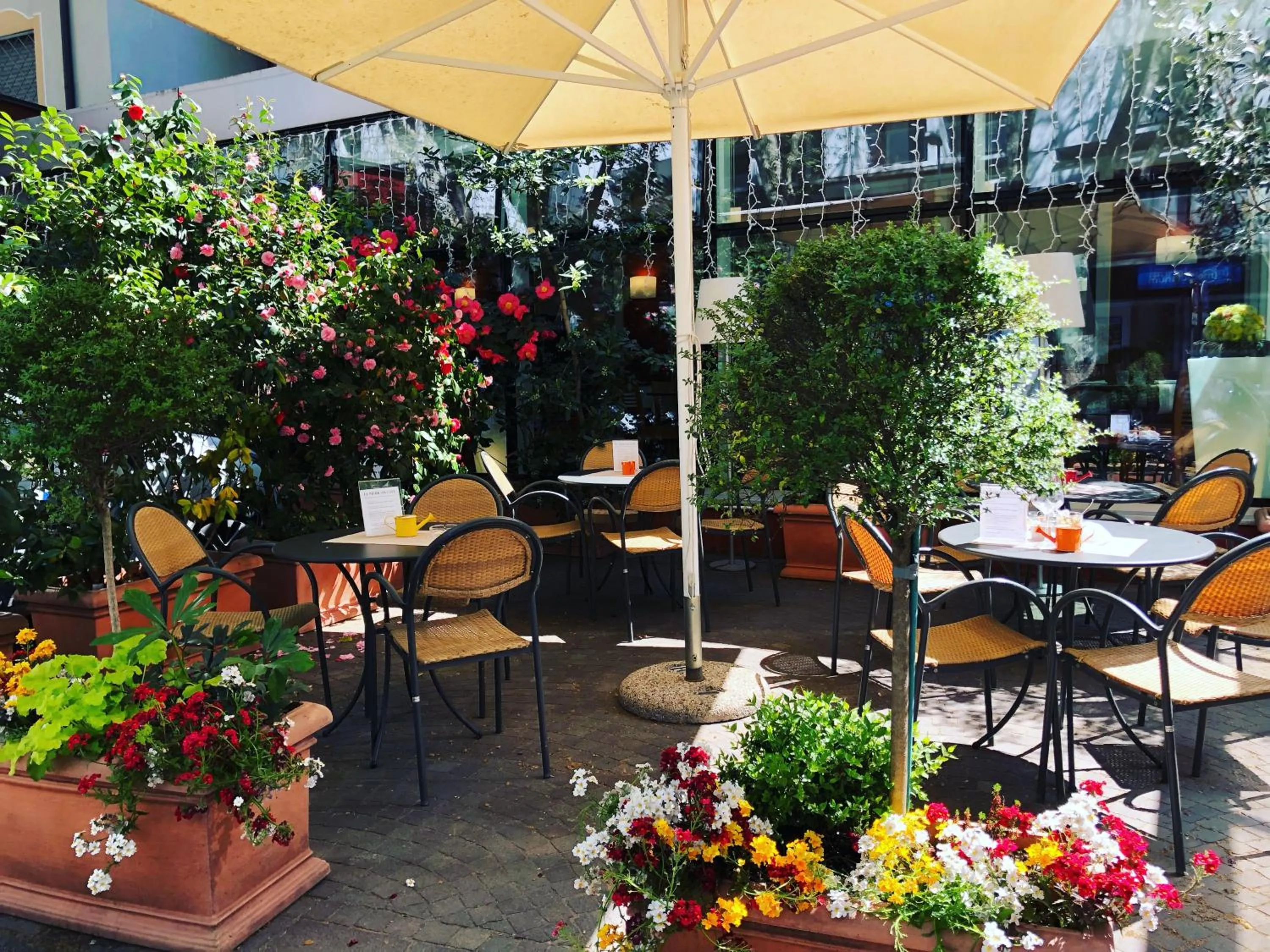 Patio in Hotel America