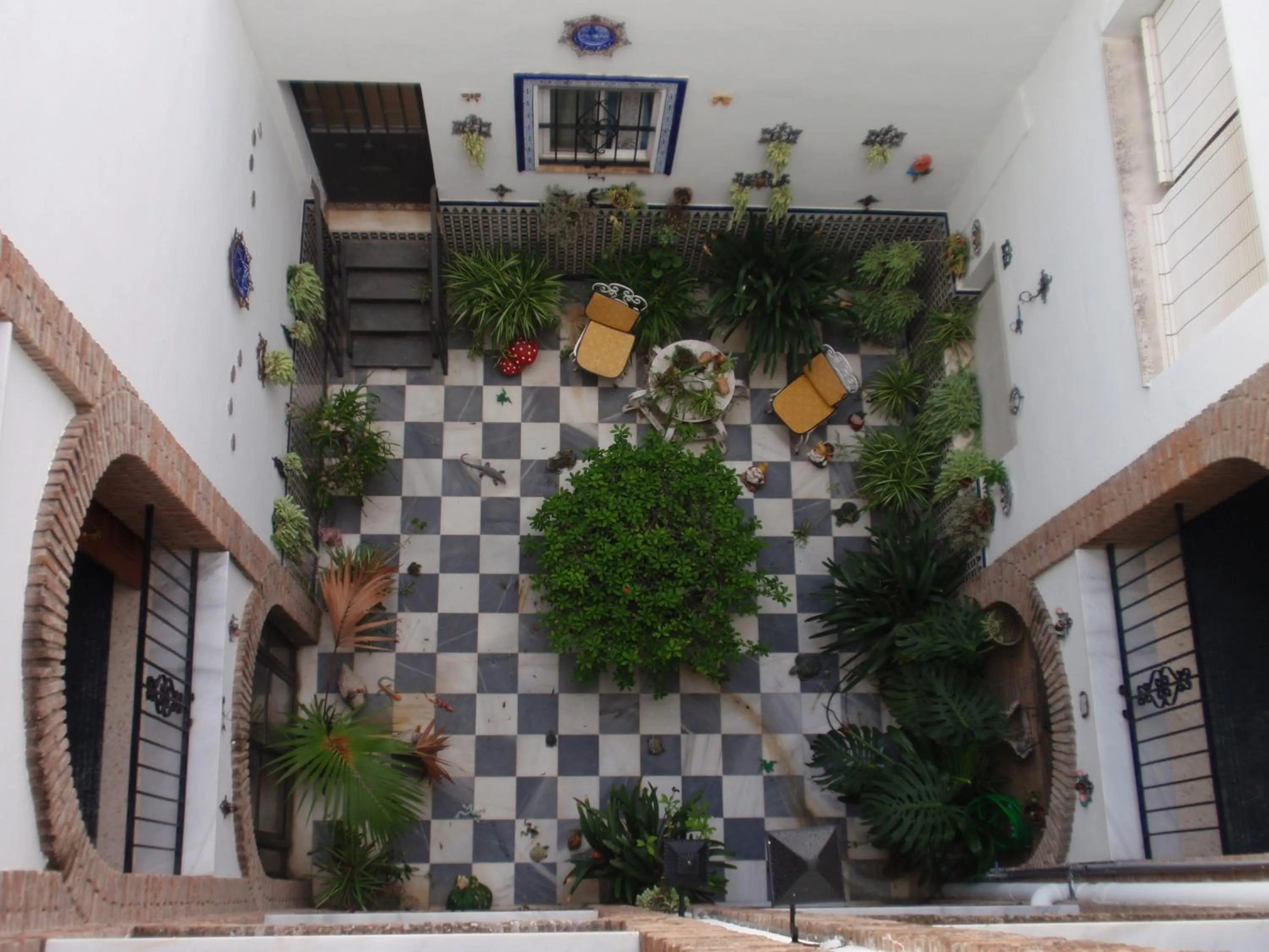 Patio in Hotel San Andres