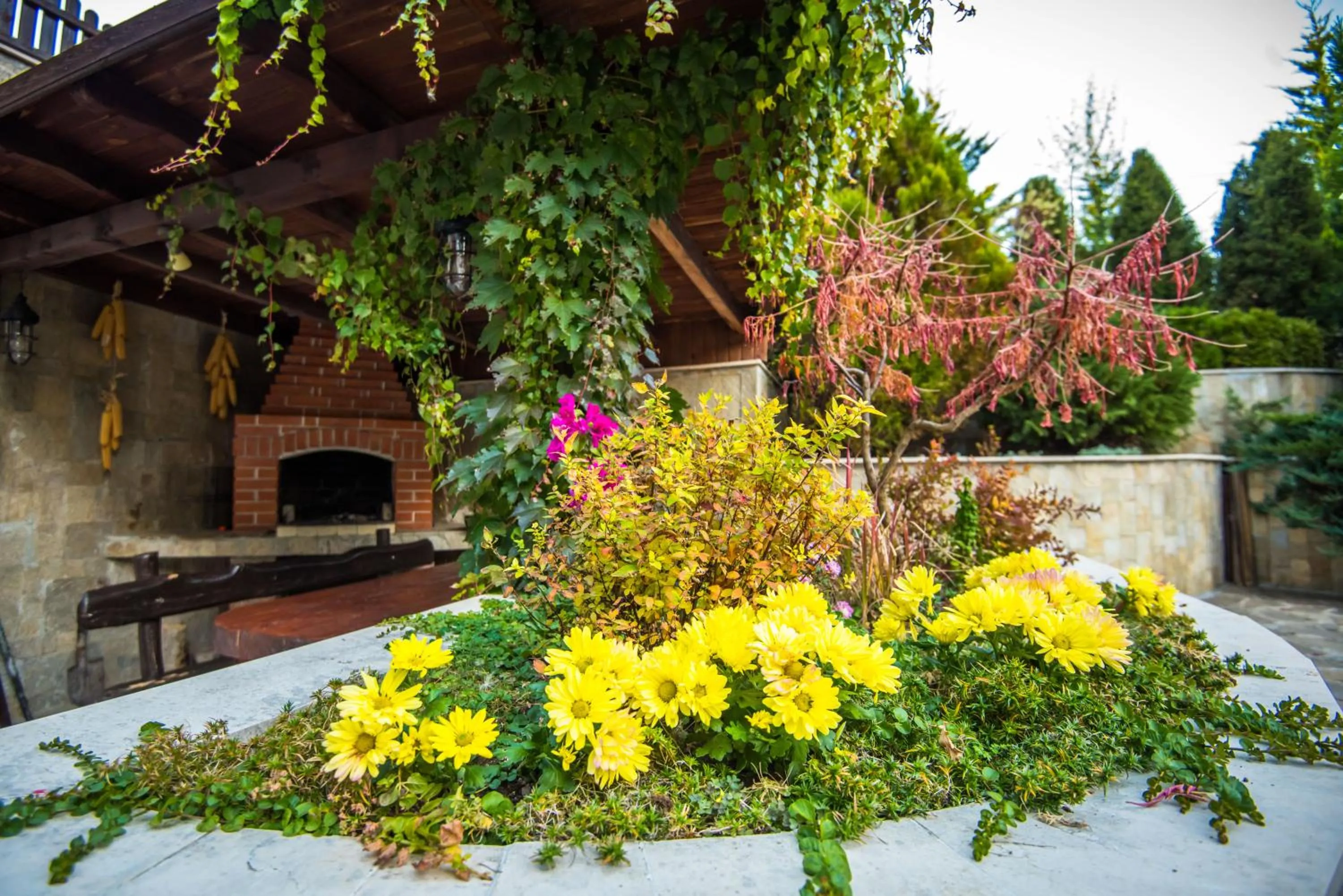 BBQ facilities in Apart Hotel Orbilux