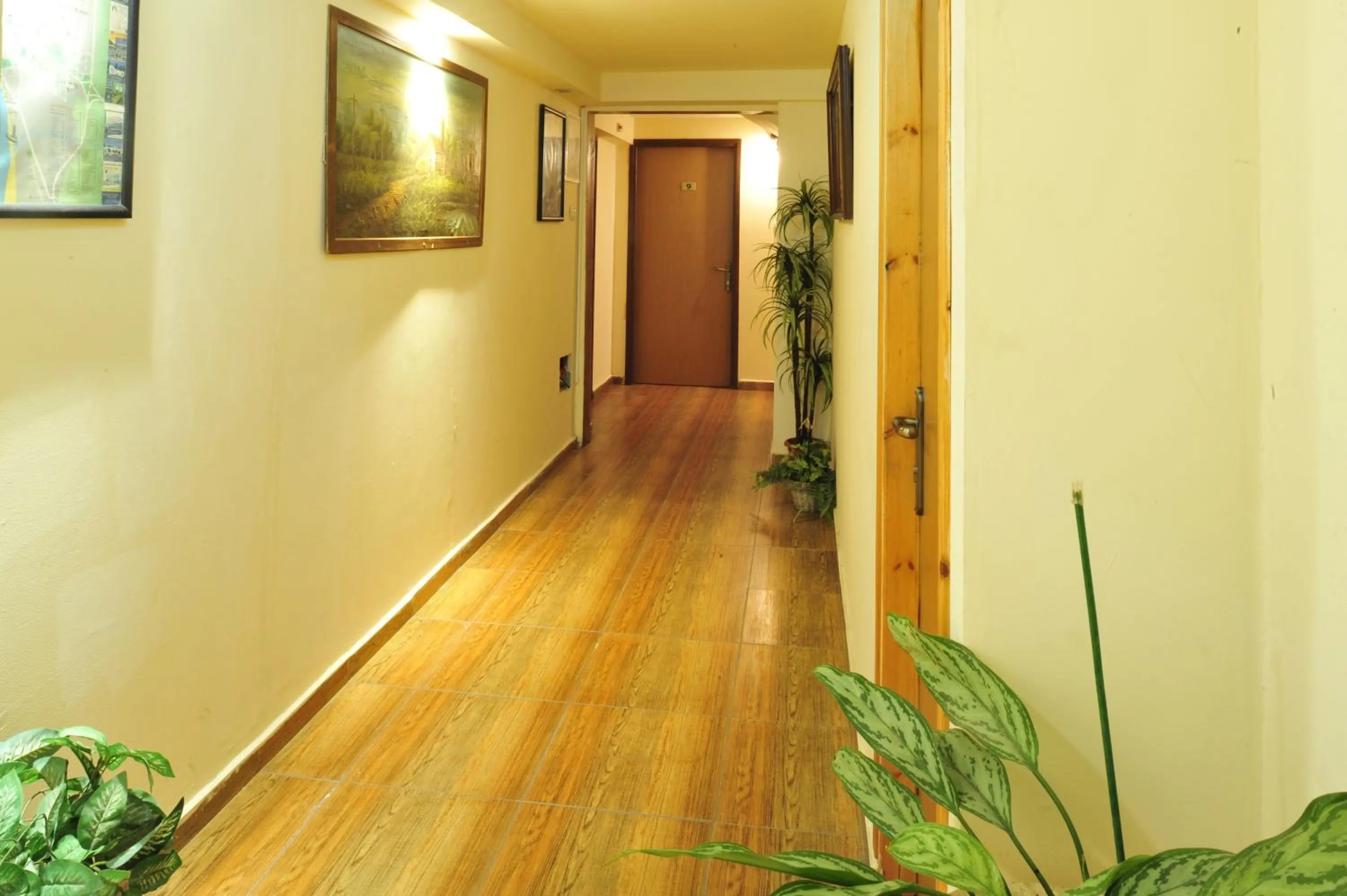 Decorative detail in Akko Gate Hostel