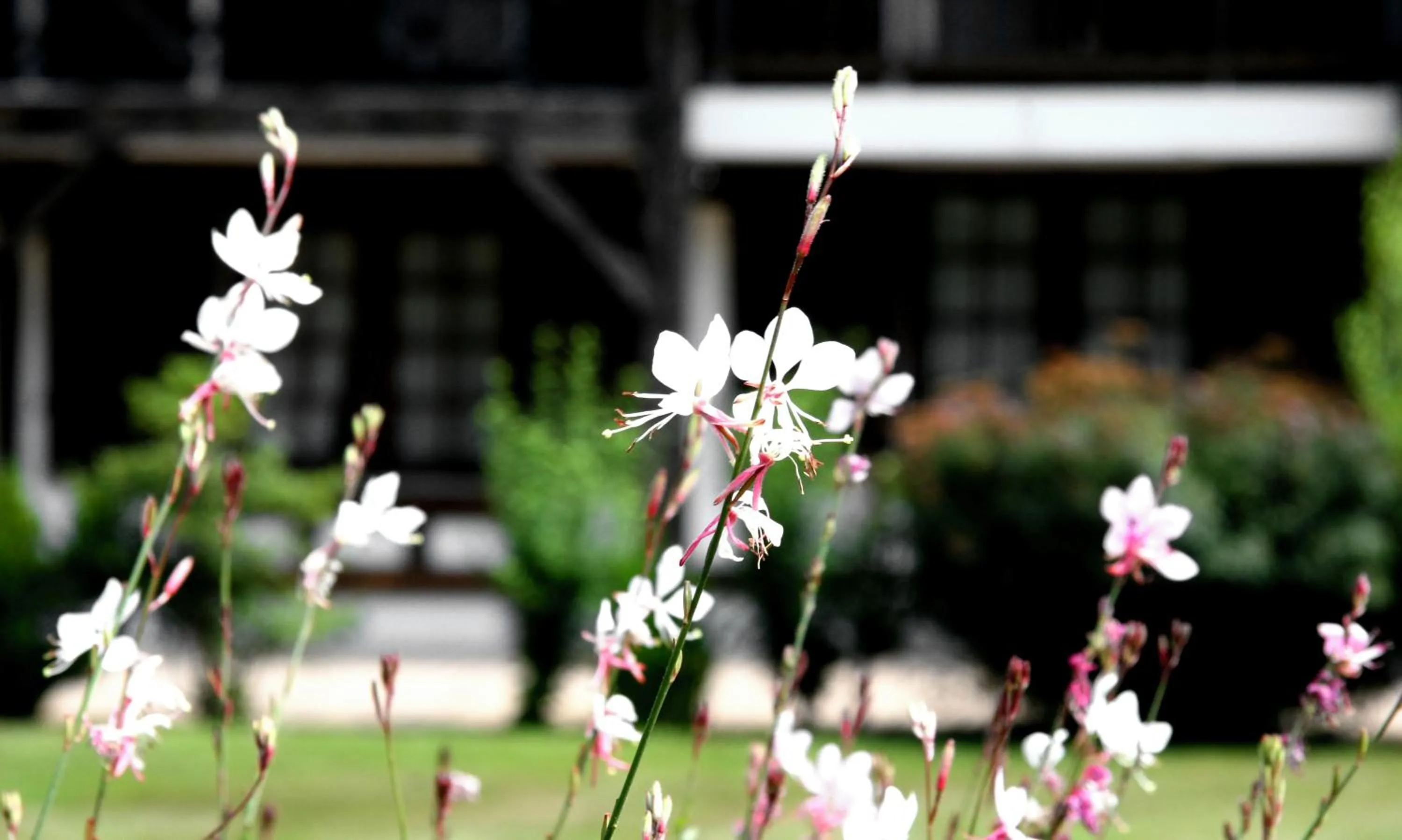 Spring in Auberge des Pins - Teritoria