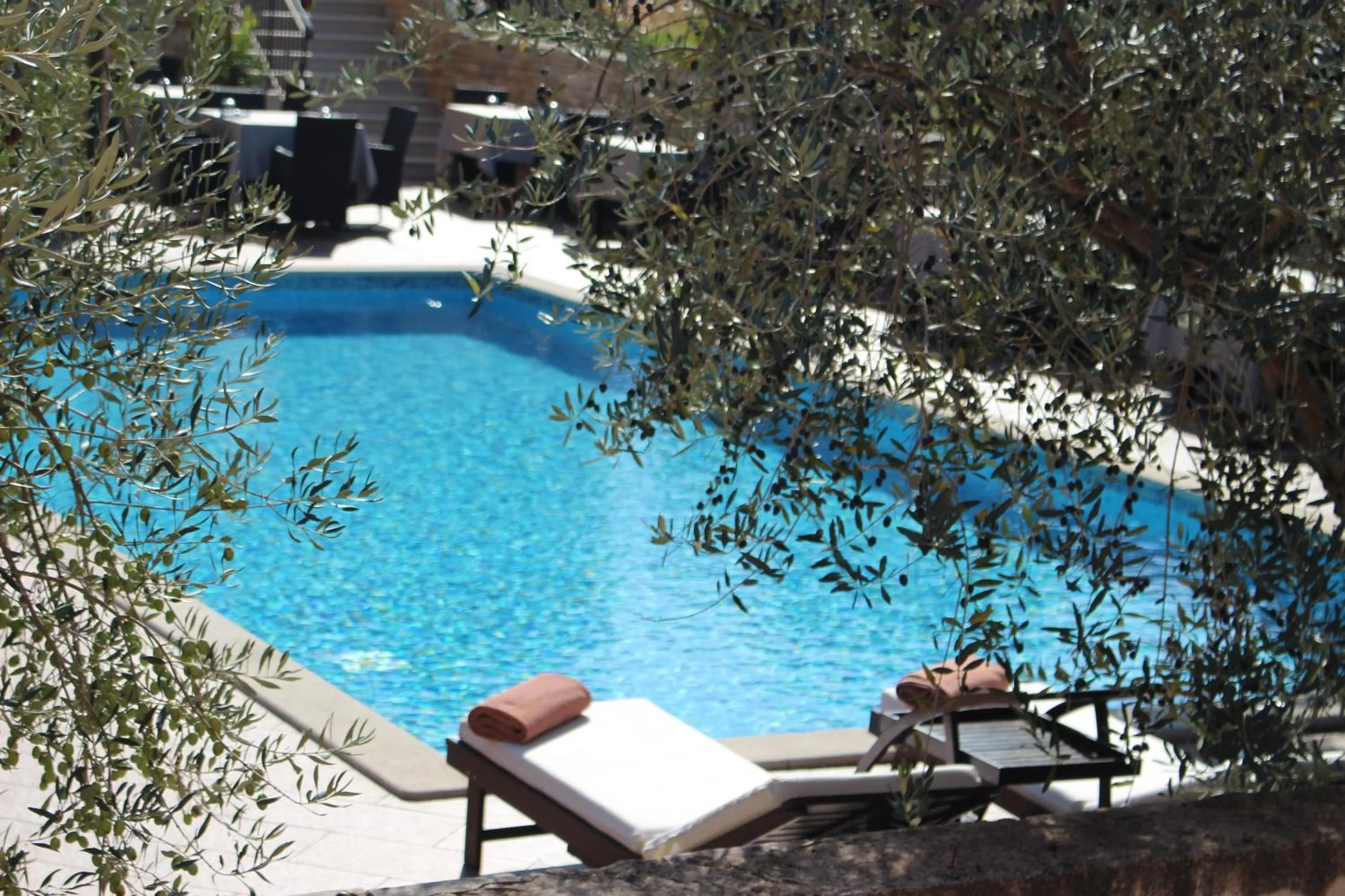 Swimming pool in Casa Alice