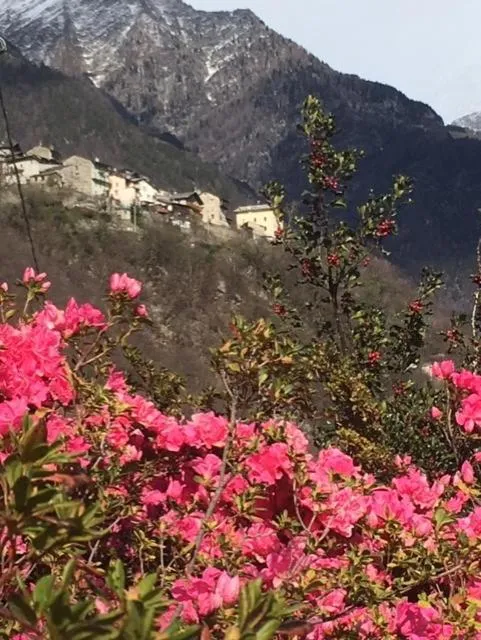 Foresteria B&B Vecchiascuola Pianazzola