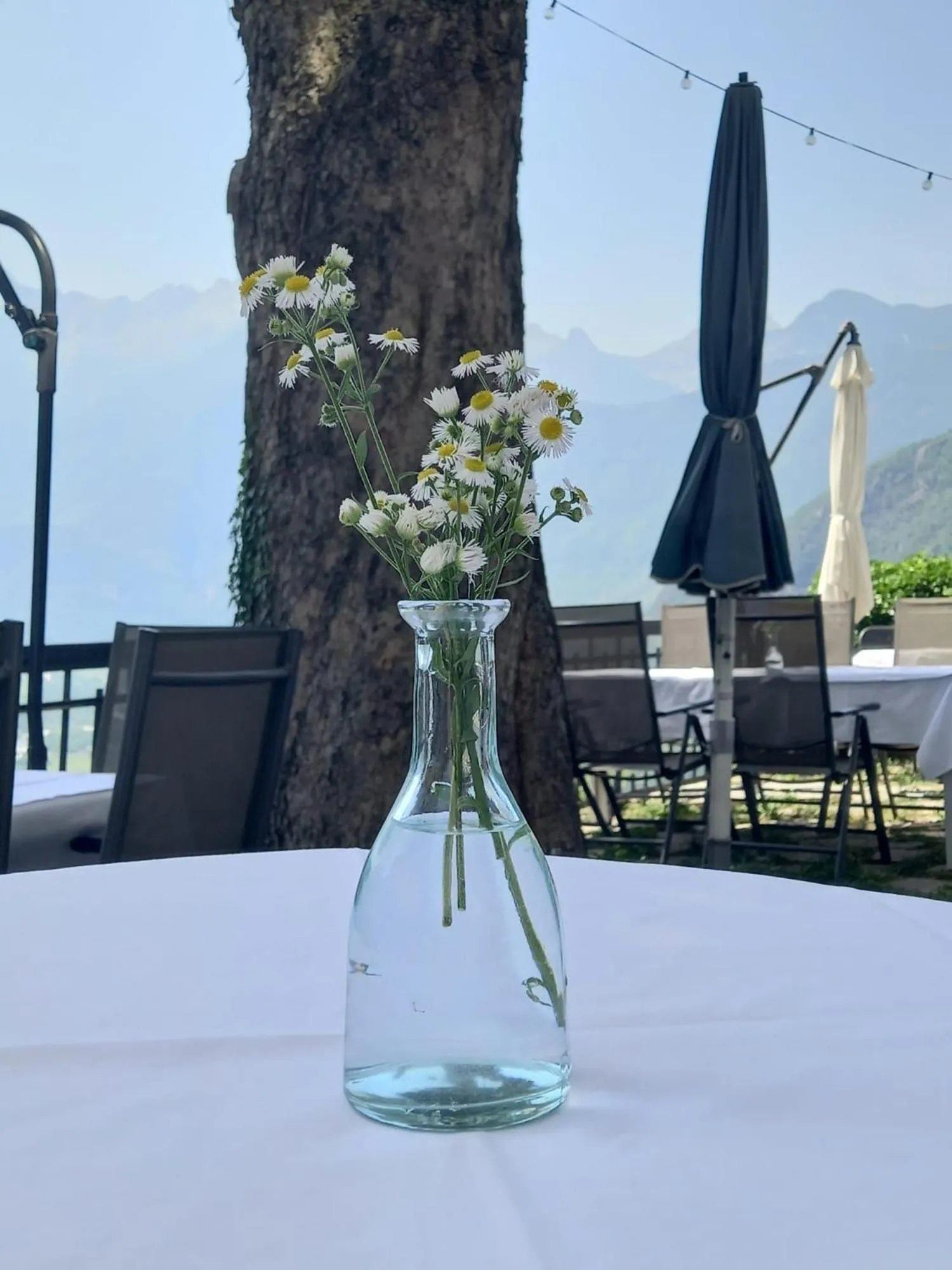 Foresteria B&B Vecchiascuola Pianazzola