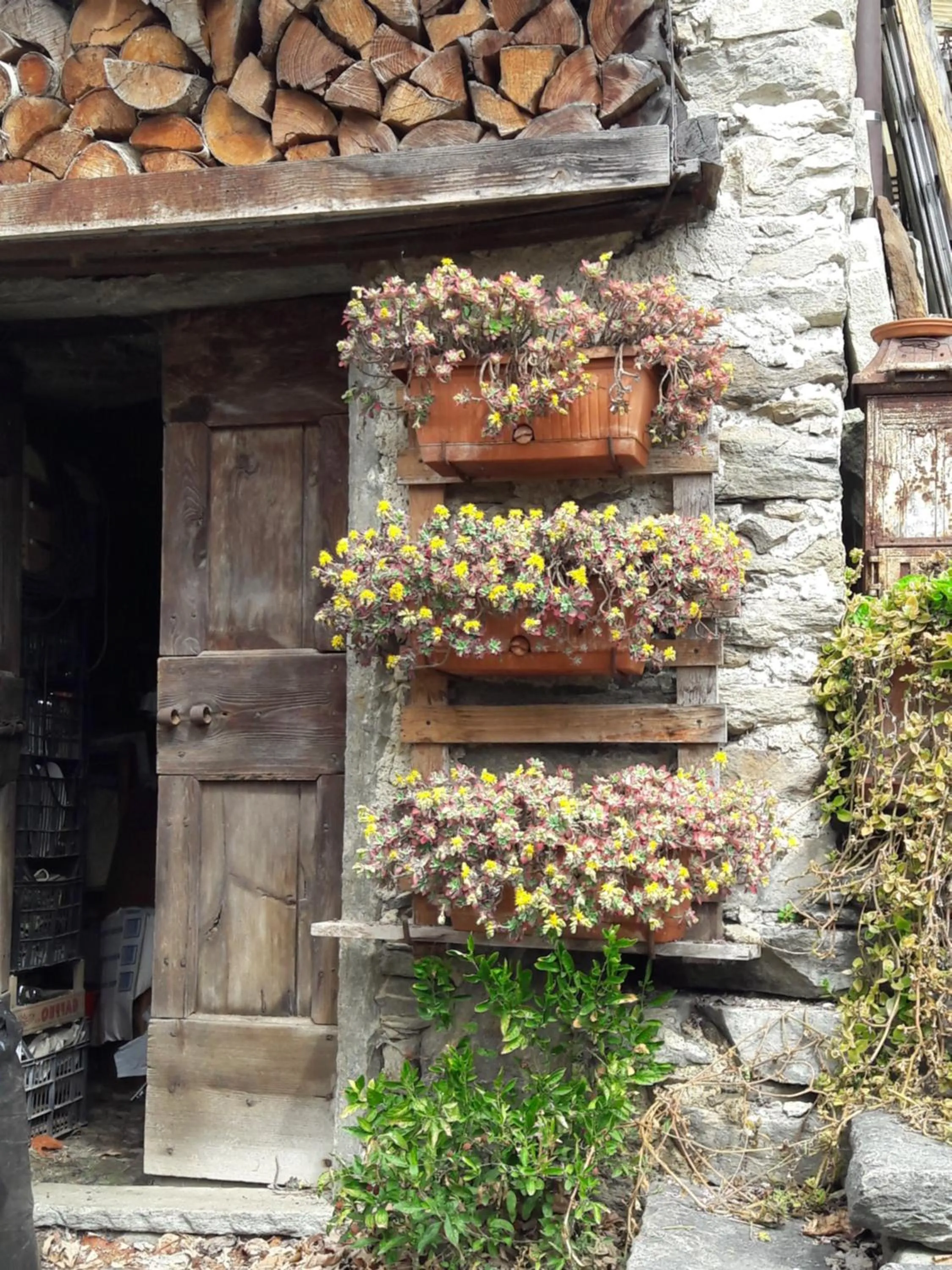 Foresteria B&B Vecchiascuola Pianazzola