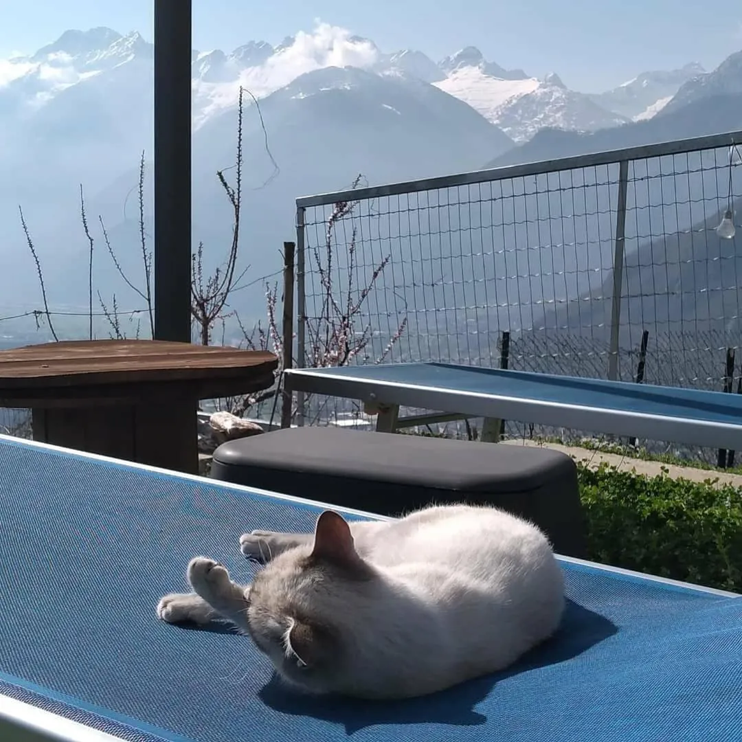 Foresteria B&B Vecchiascuola Pianazzola