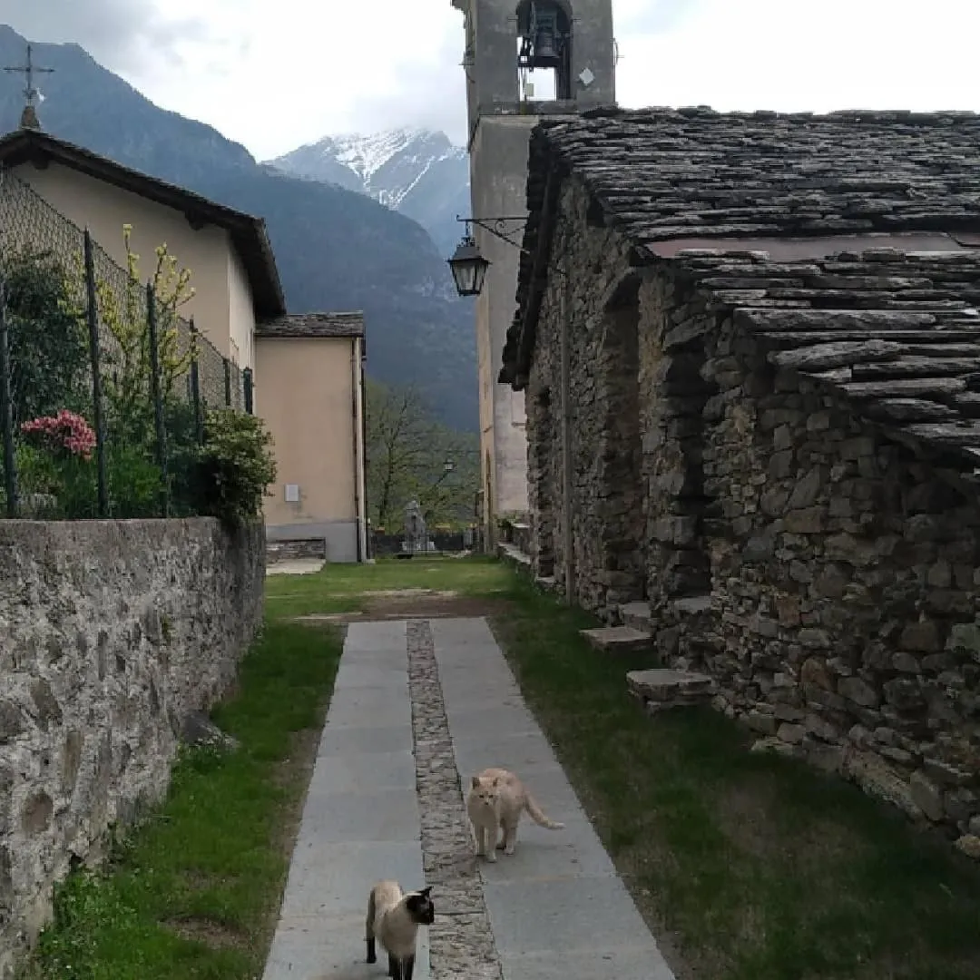 Foresteria B&B Vecchiascuola Pianazzola