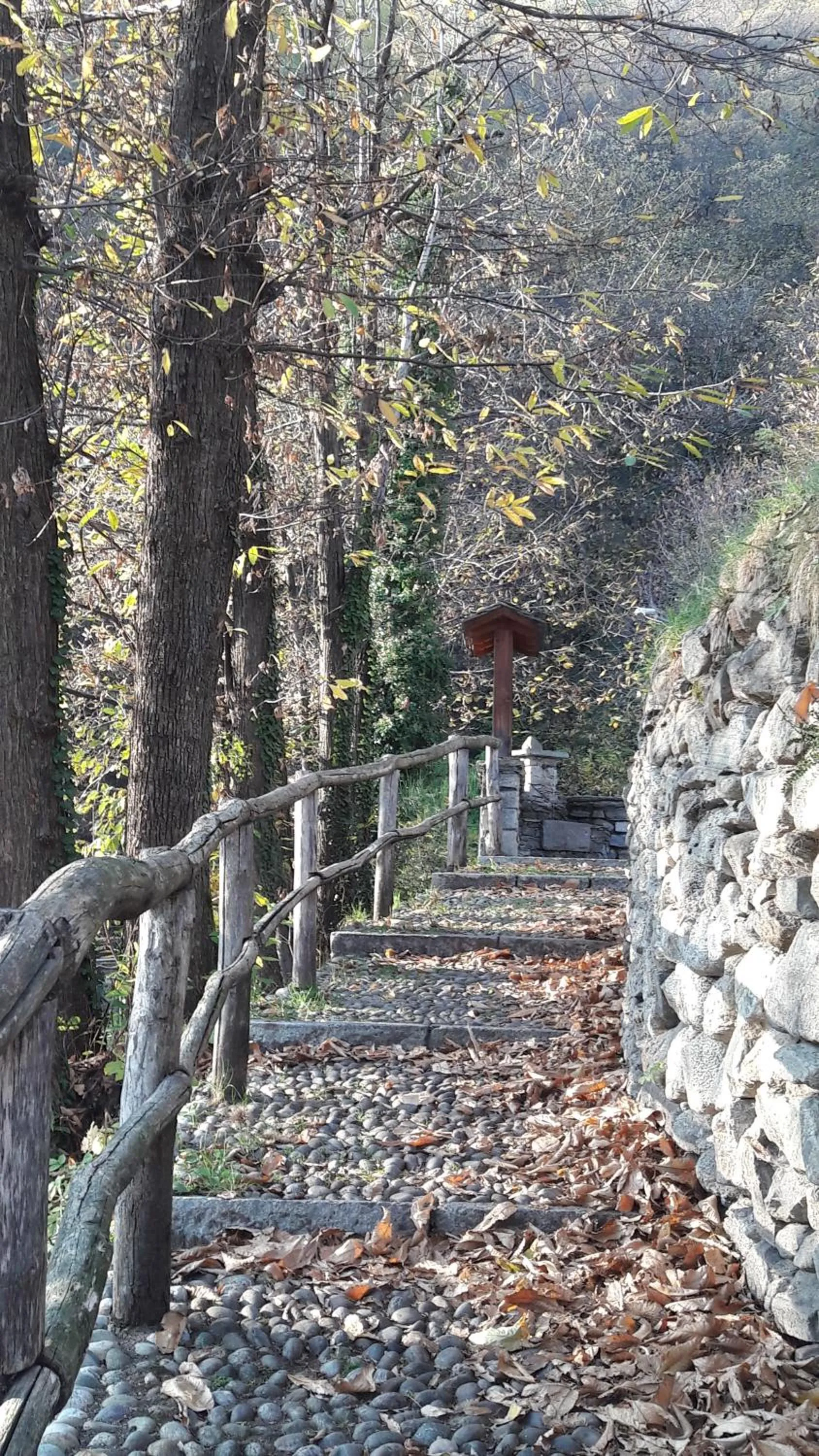 Foresteria B&B Vecchiascuola Pianazzola