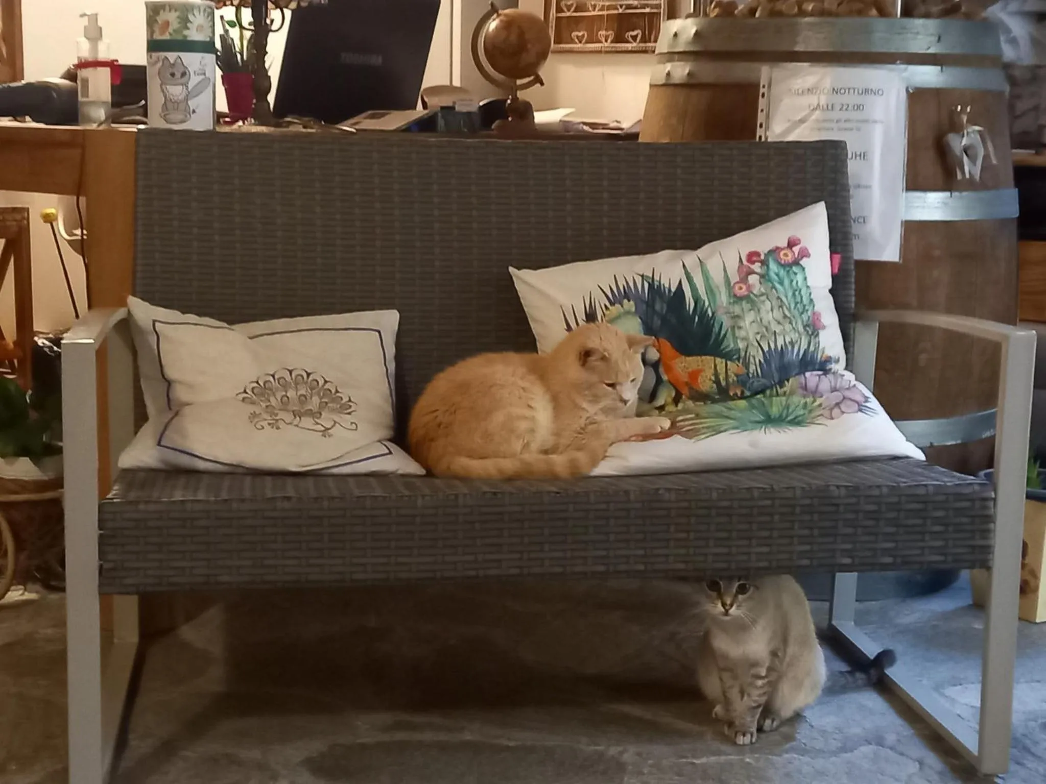 Foresteria B&B Vecchiascuola Pianazzola