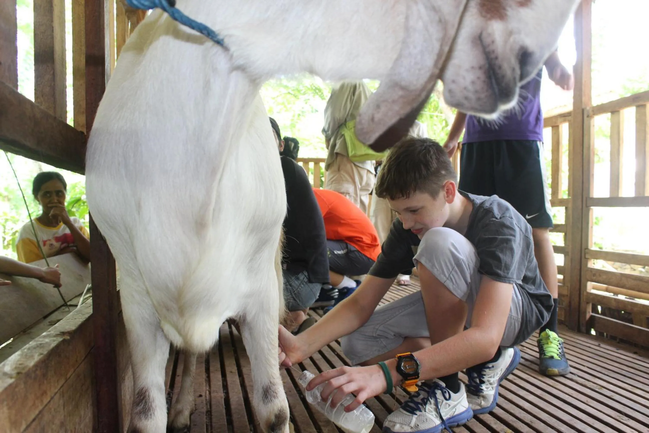 Off site in Backpacker Kawah Ijen