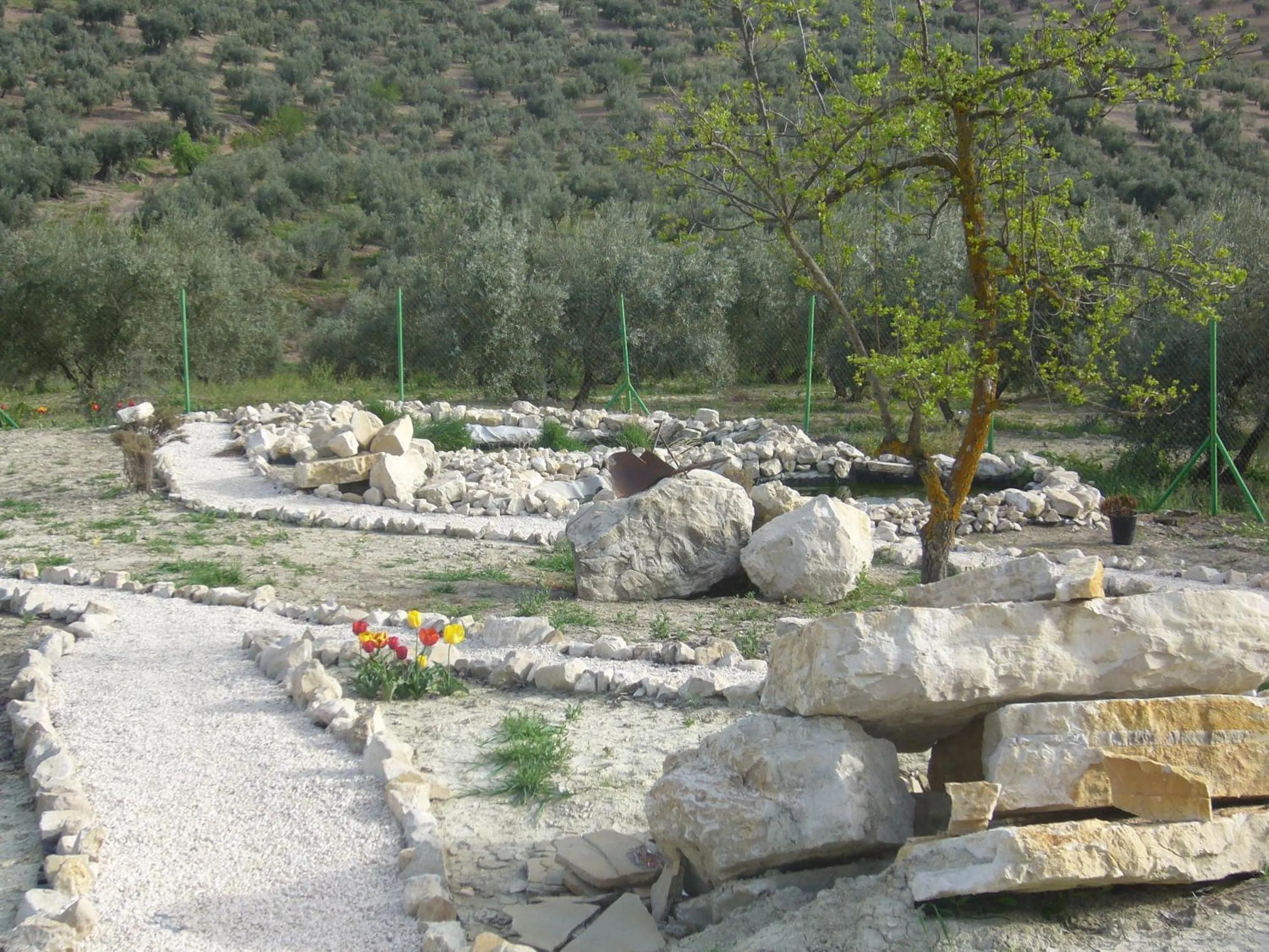 Garden in B&B Lasnavillasmm