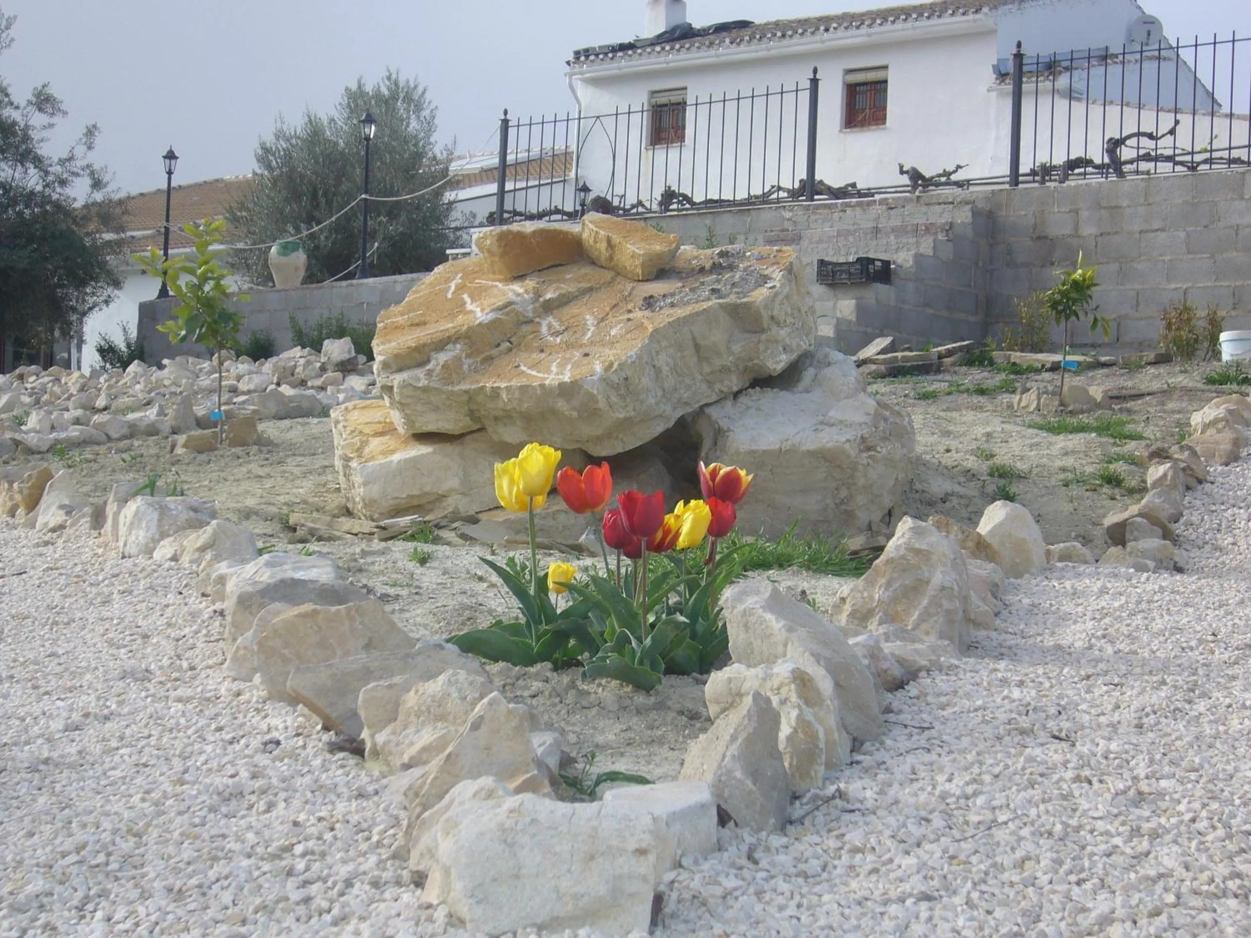 Garden in B&B Lasnavillasmm