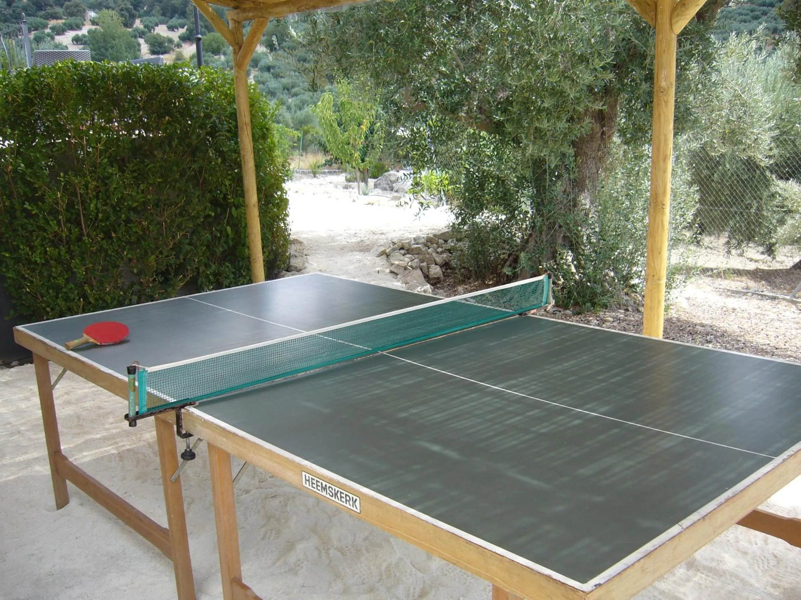 Table tennis in B&B Lasnavillasmm