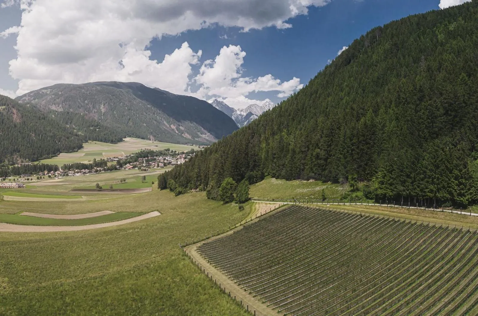Natural landscape in Hotel Brötz