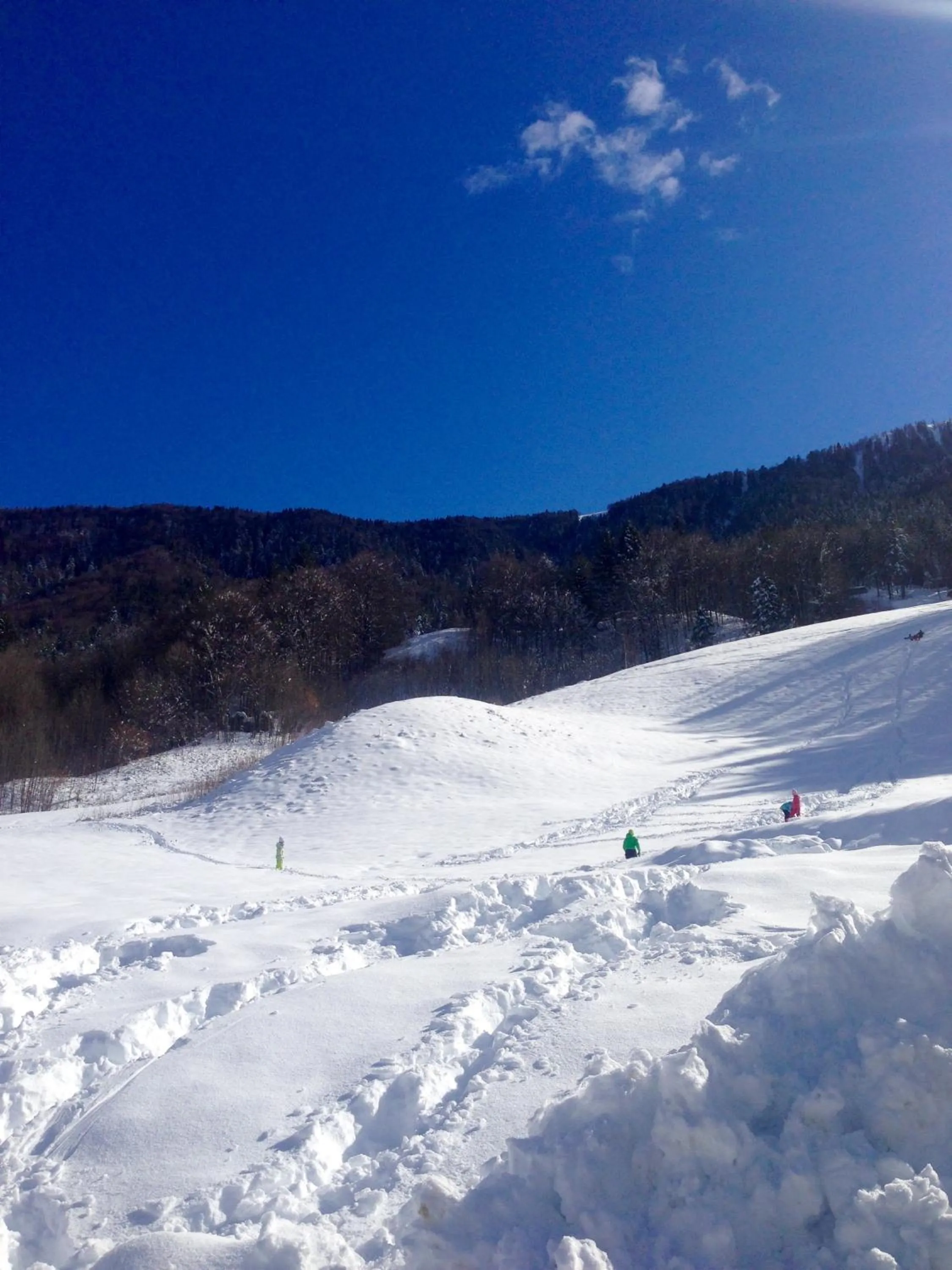 Natural landscape in Appartamento Il Portico