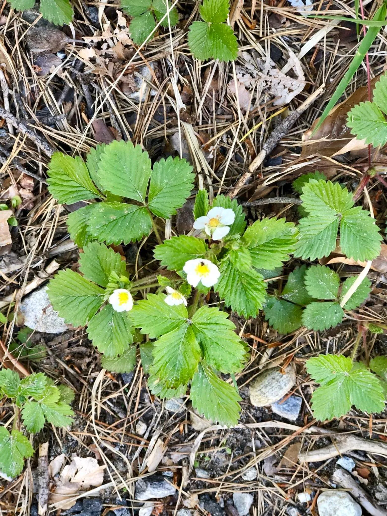Appartamento Il Portico