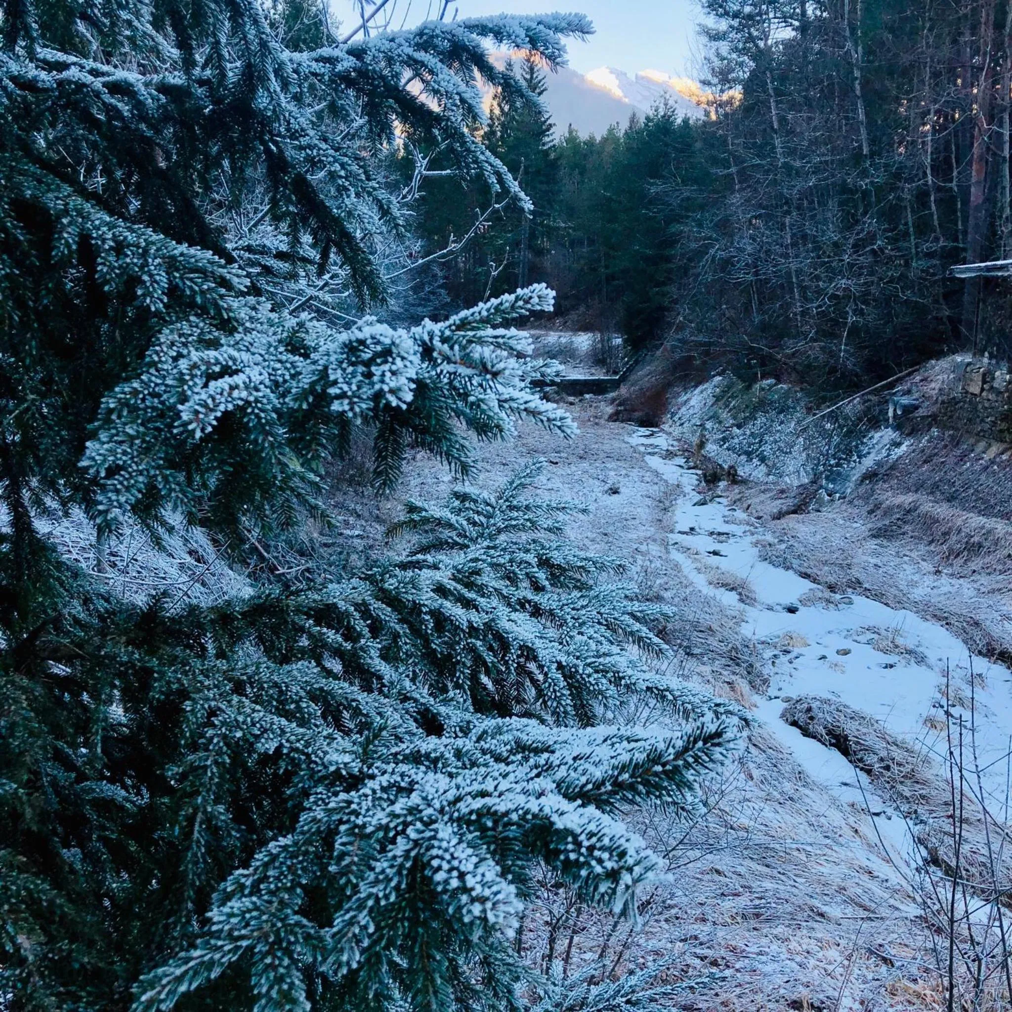 Winter in Appartamento Il Portico