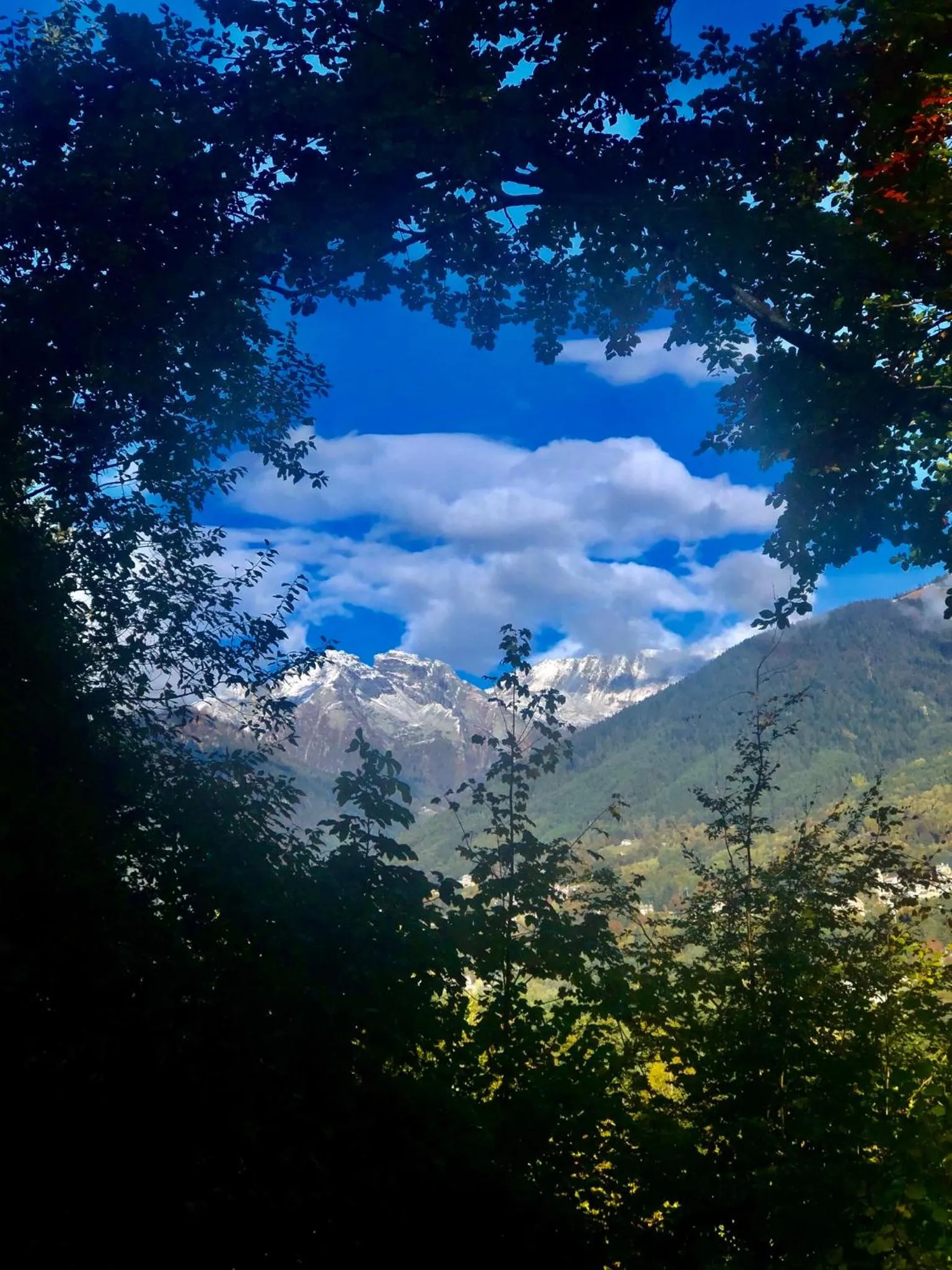 Appartamento Il Portico