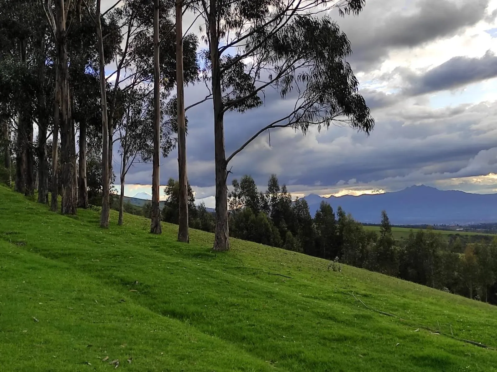 Hacienda Las Cuevas Terra Lodge