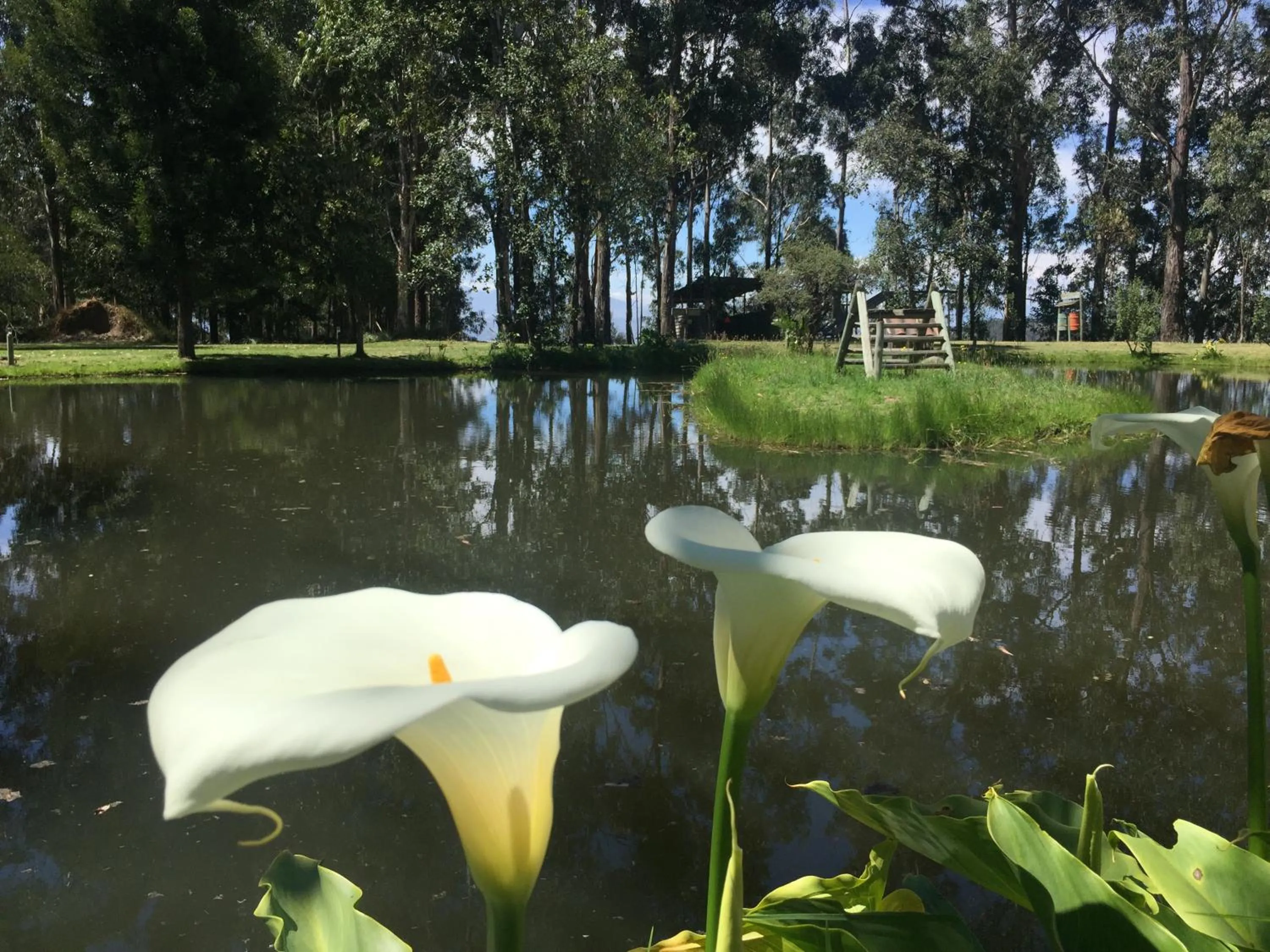 Natural landscape in Hacienda Las Cuevas Terra Lodge