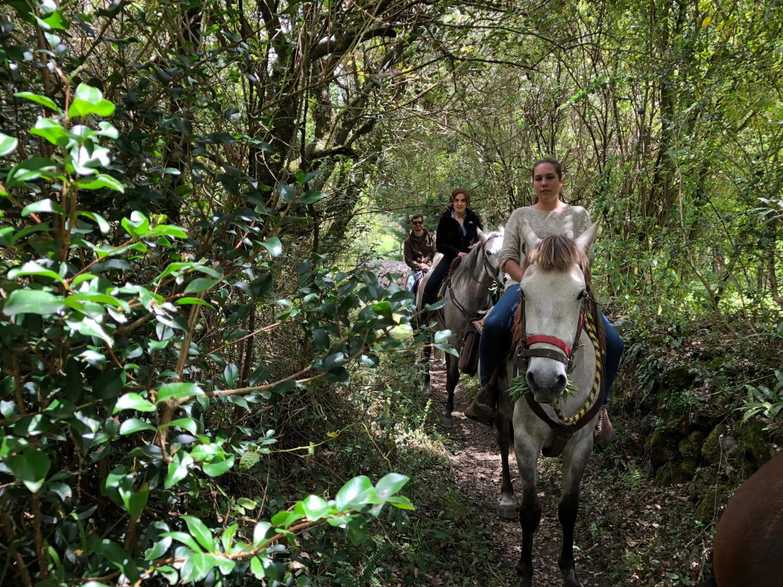 Natural landscape in Hacienda Las Cuevas Terra Lodge