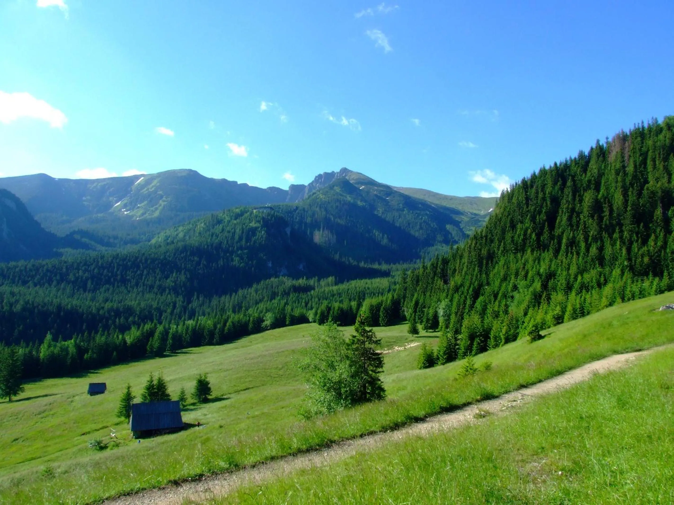 View (from property/room) in Hotel Górski Kalatówki
