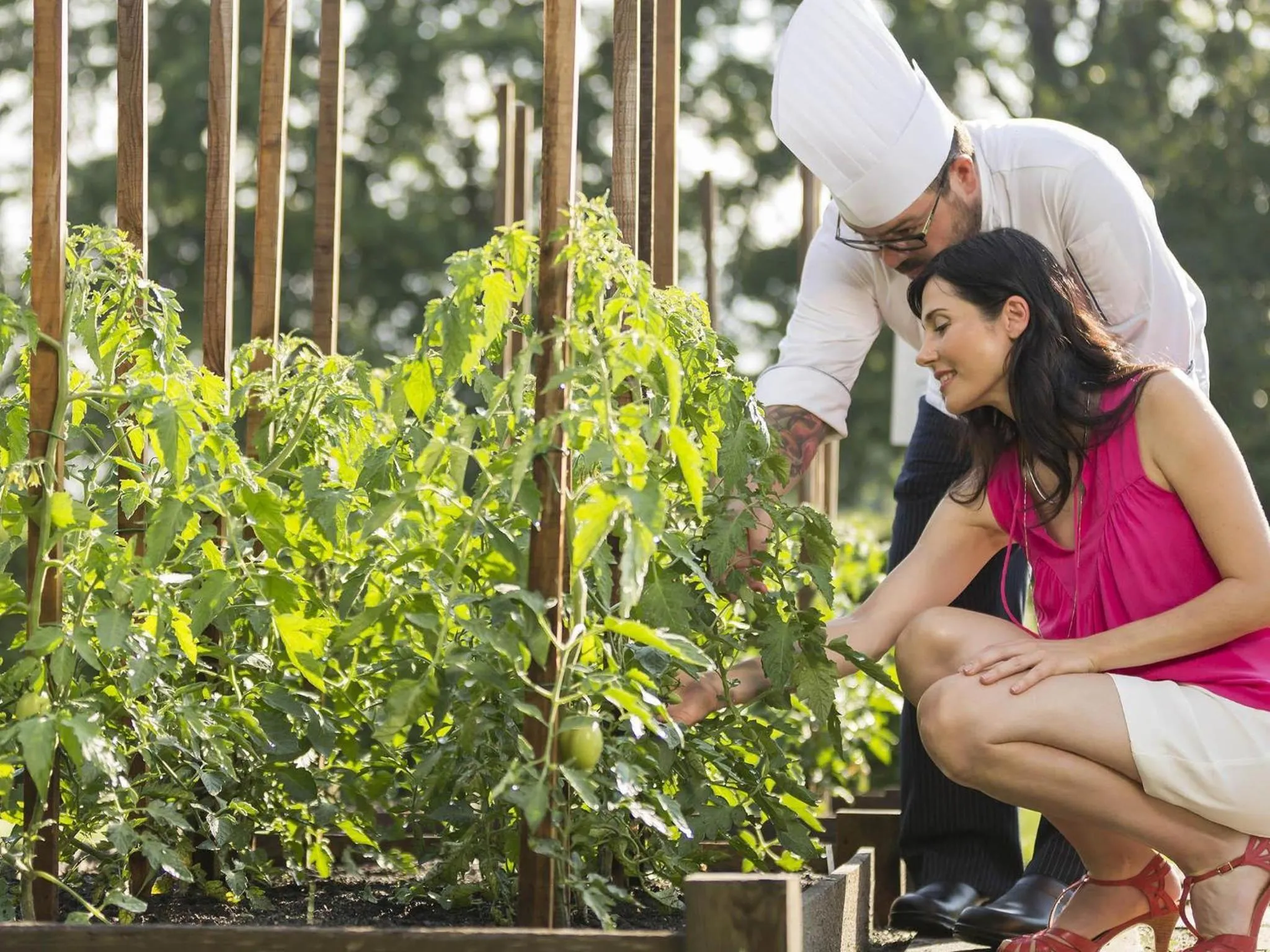Lounge or bar in Fairmont Le Chateau Montebello