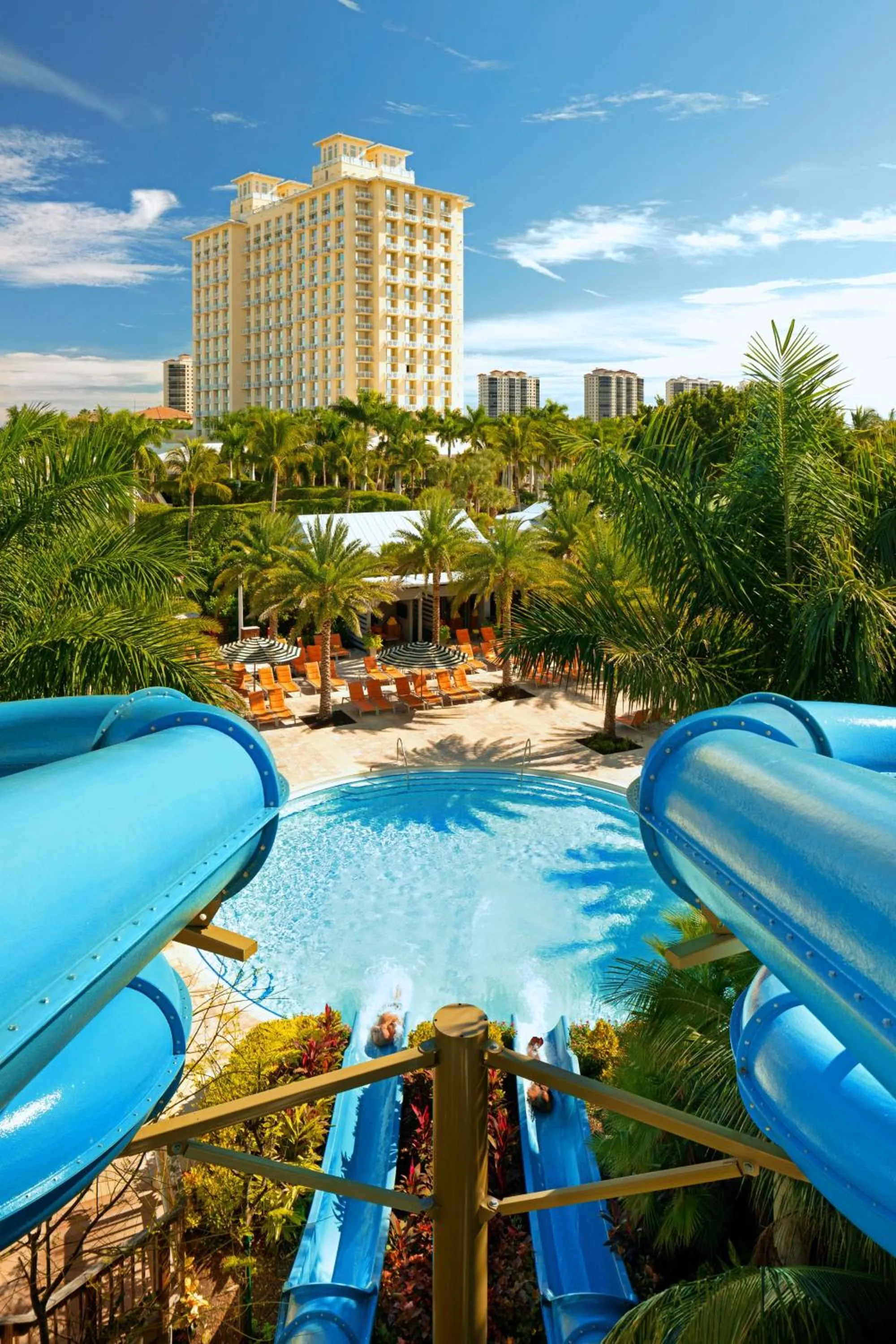 Swimming pool in Hyatt Regency Coconut Point Resort & Spa Near Naples