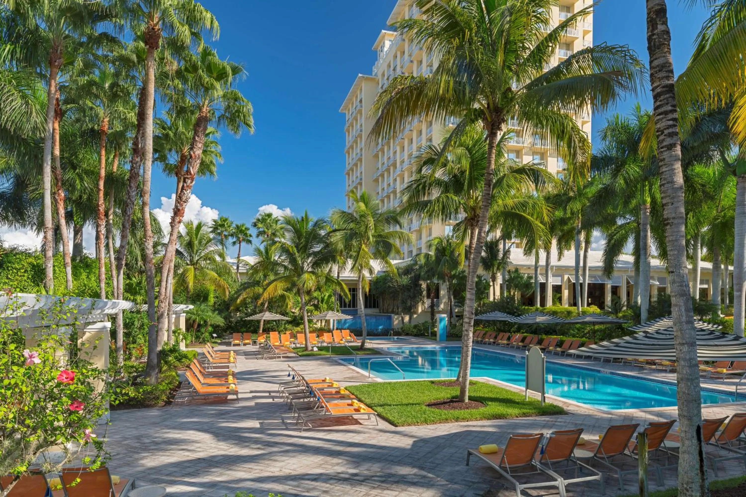 Pool view in Hyatt Regency Coconut Point Resort & Spa Near Naples