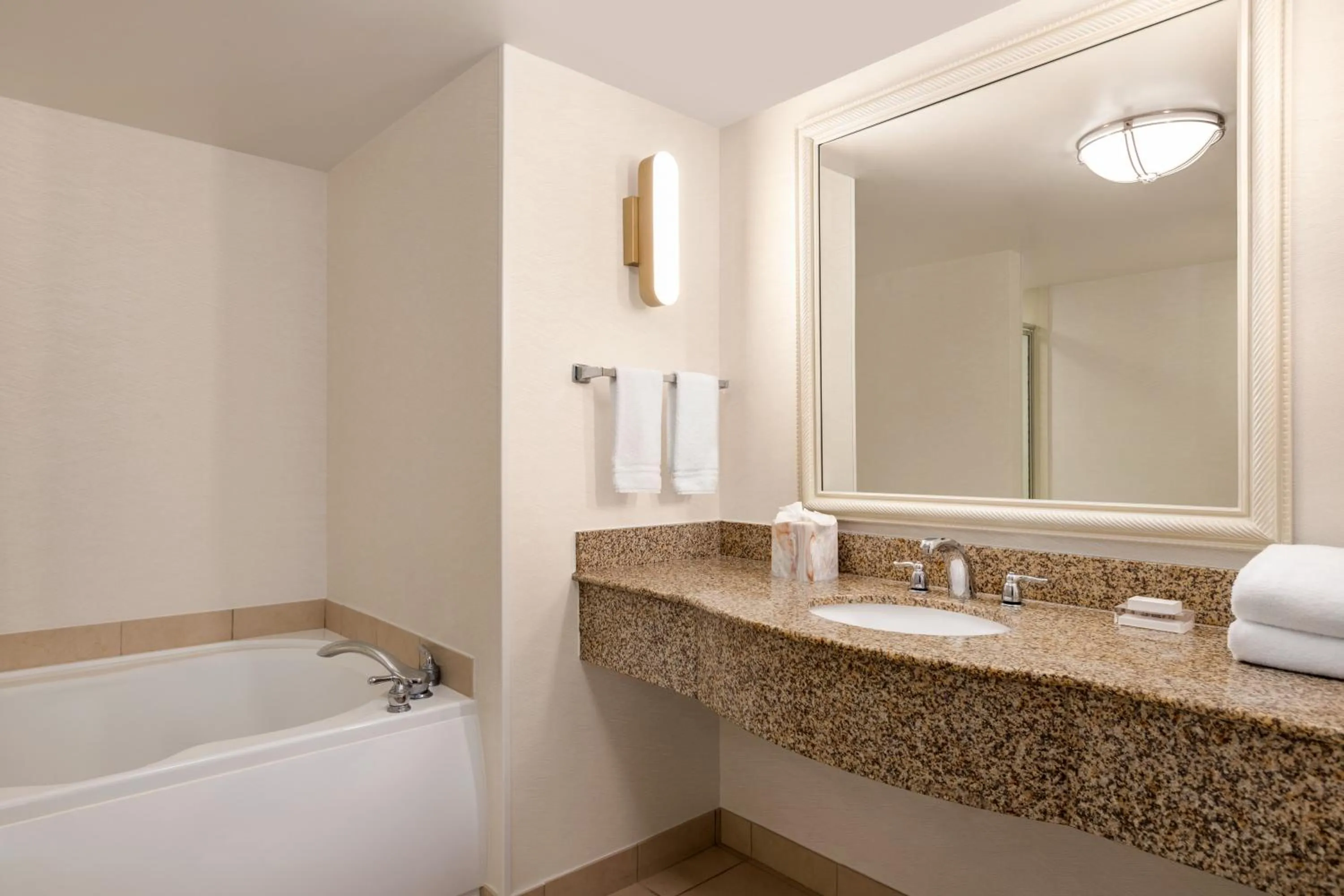 Bathroom in Hilton Garden Inn Fort Myers Airport/FGCU