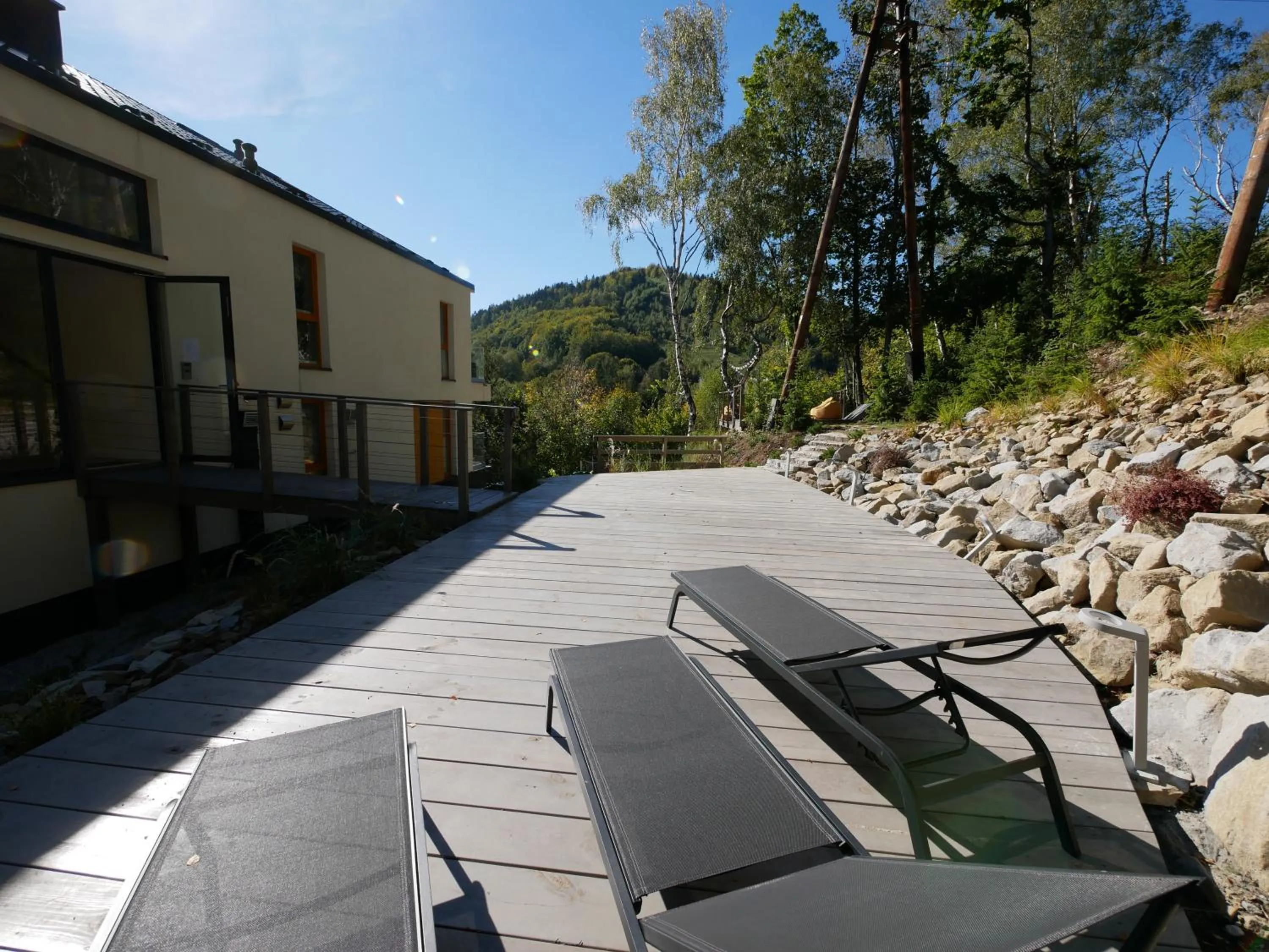 Activities in Apartamenty Willowa