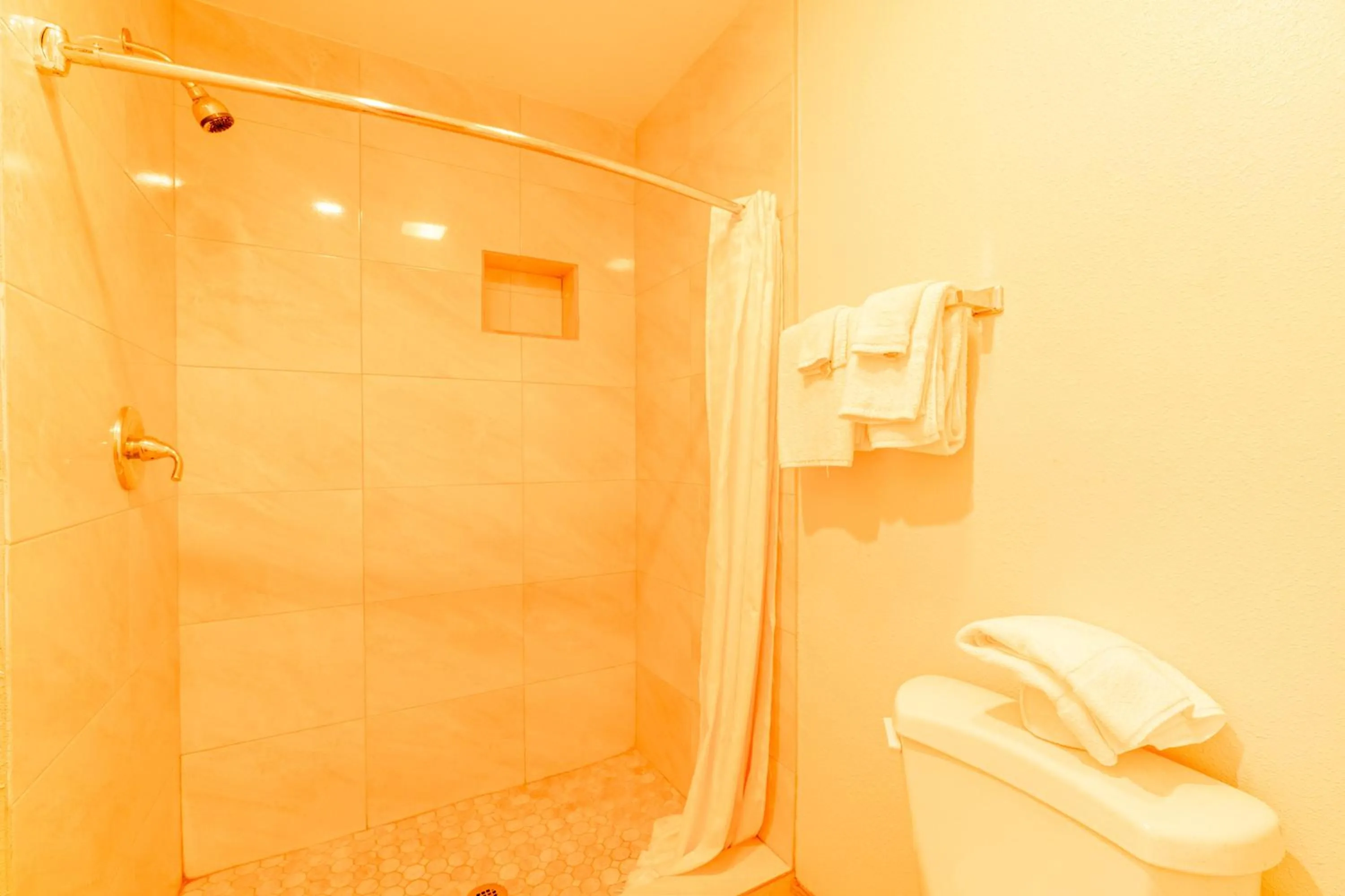 Bathroom in OYO Budget Inn Falfurrias Hwy 281