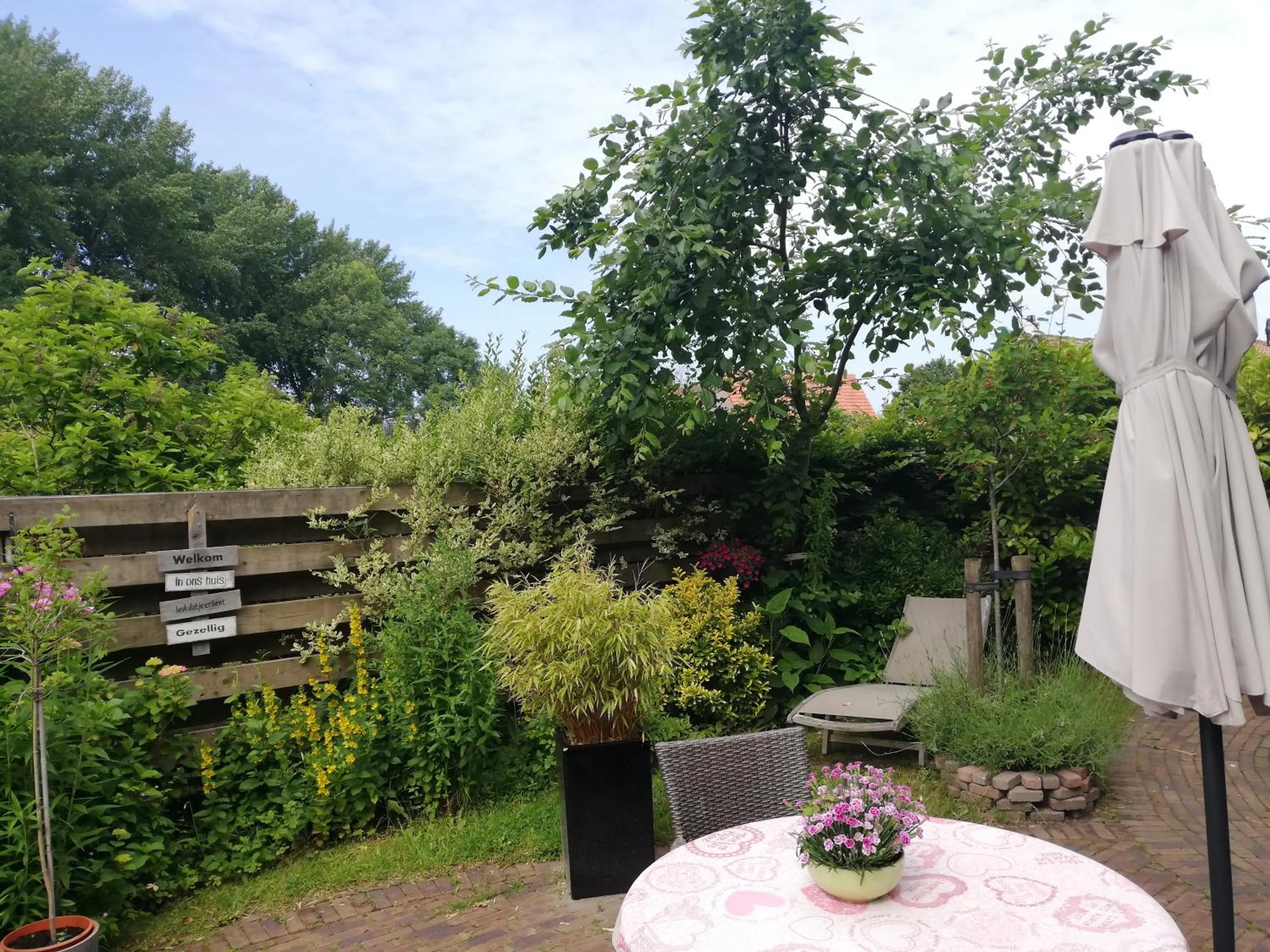 Garden in De Zes Wielen