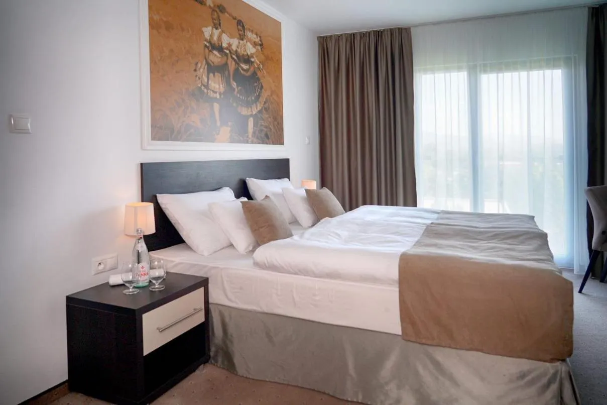 Photo of the whole room, Bed in Hotel Mousson