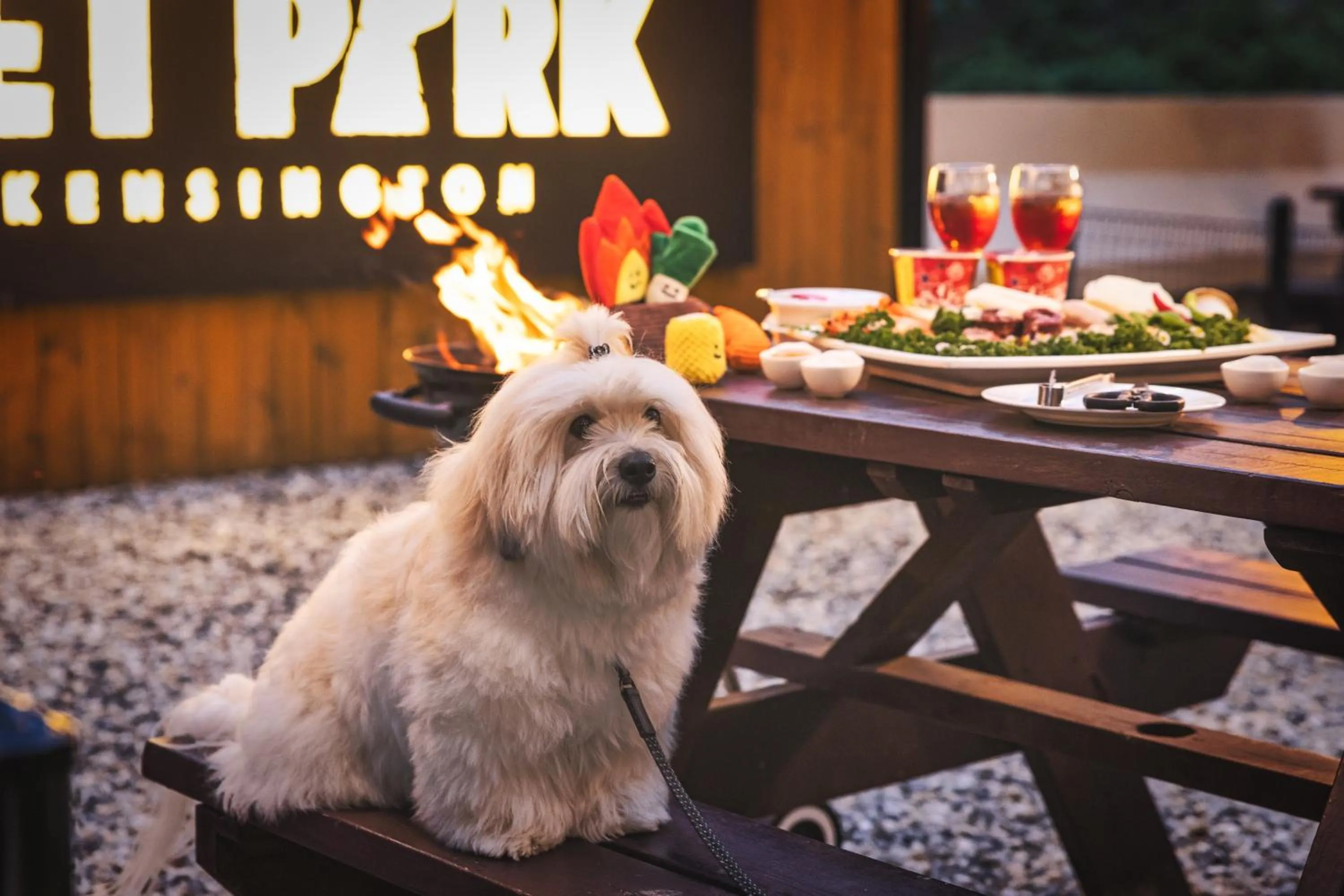 Restaurant/places to eat in Kensington Resort Chungju