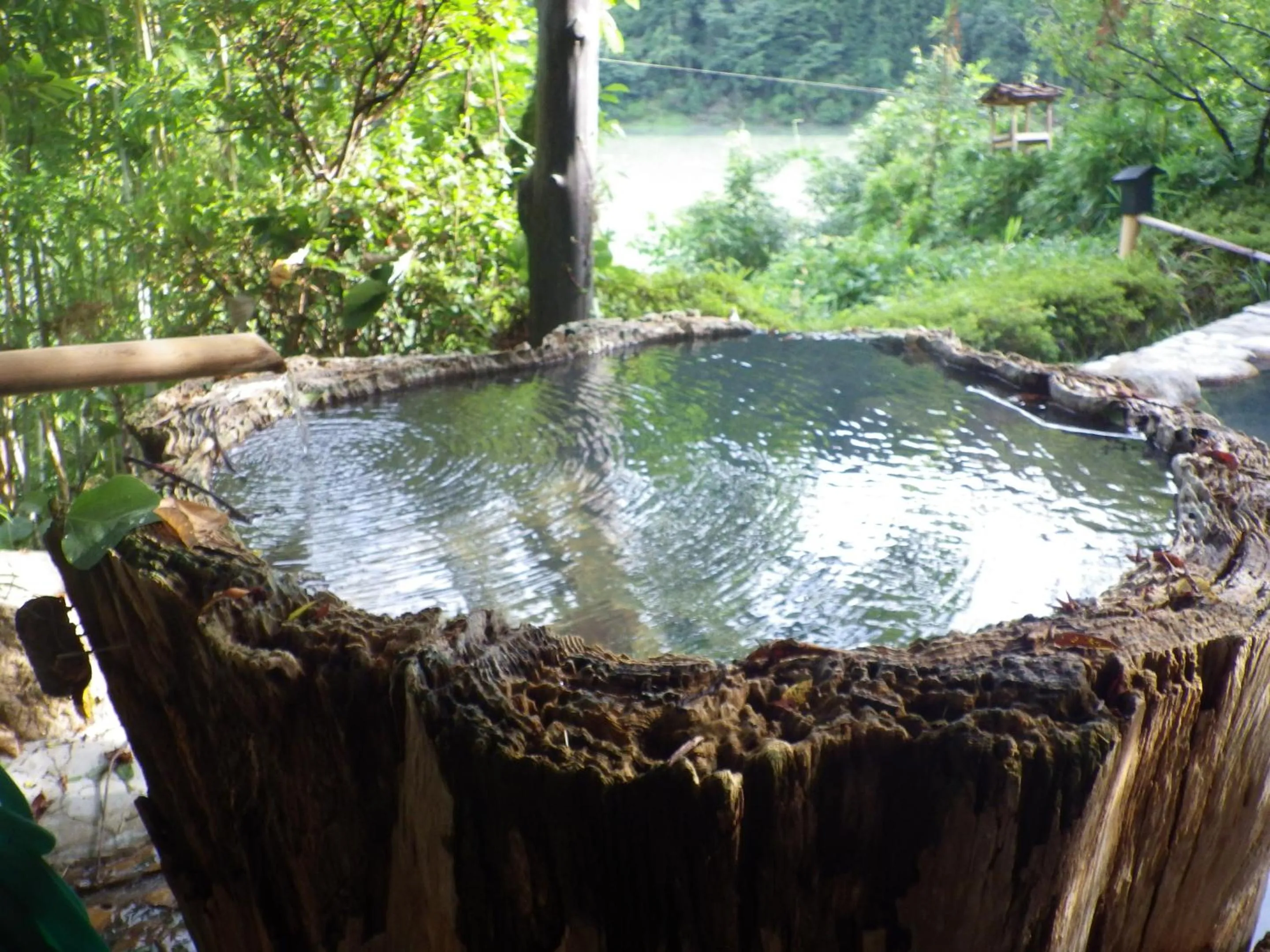 Day in Kosenkaku Yoshinoya