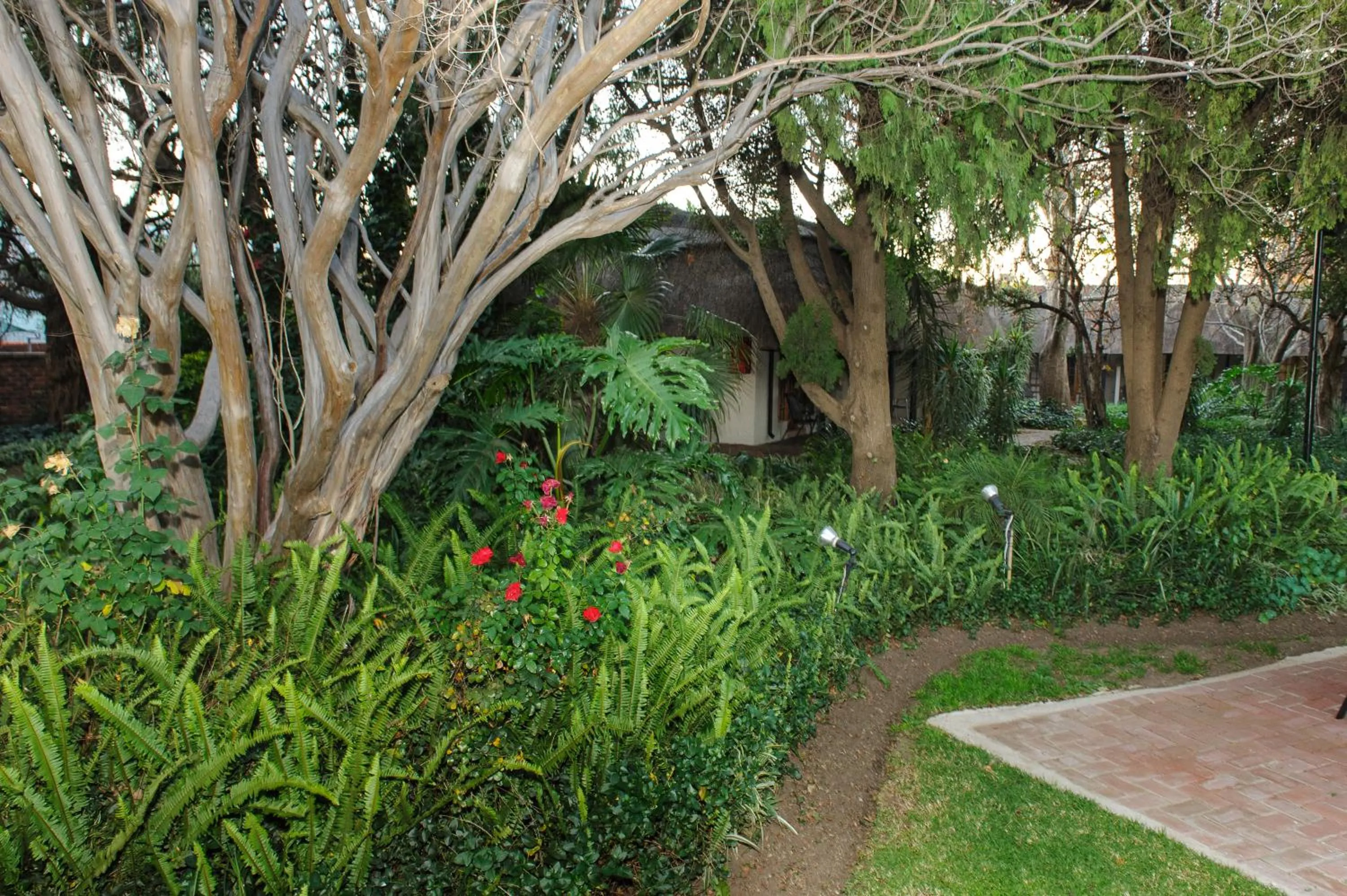 Property building in Safari Club Guest Lodge OR Tambo International Airport